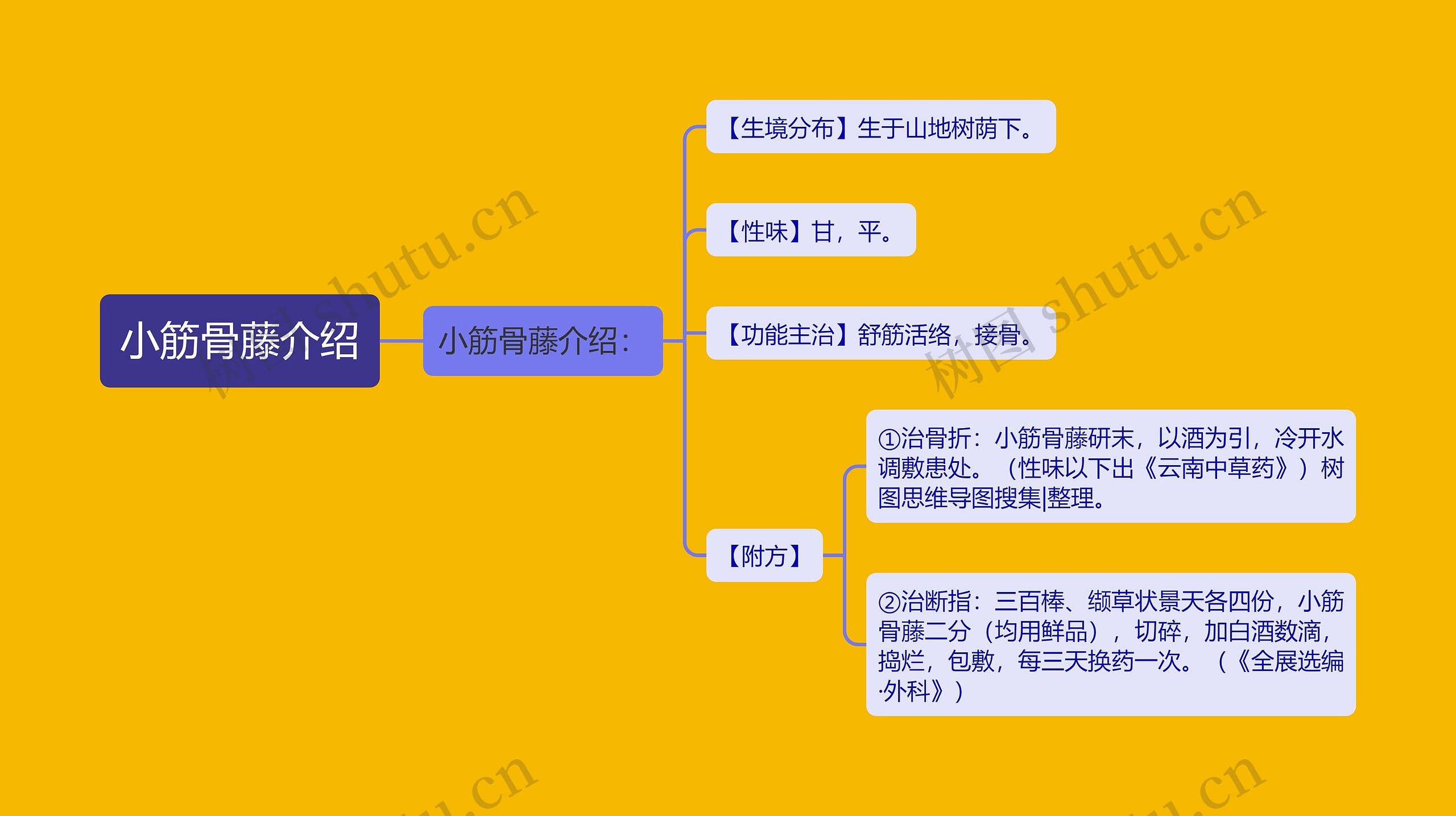 小筋骨藤介绍思维导图
