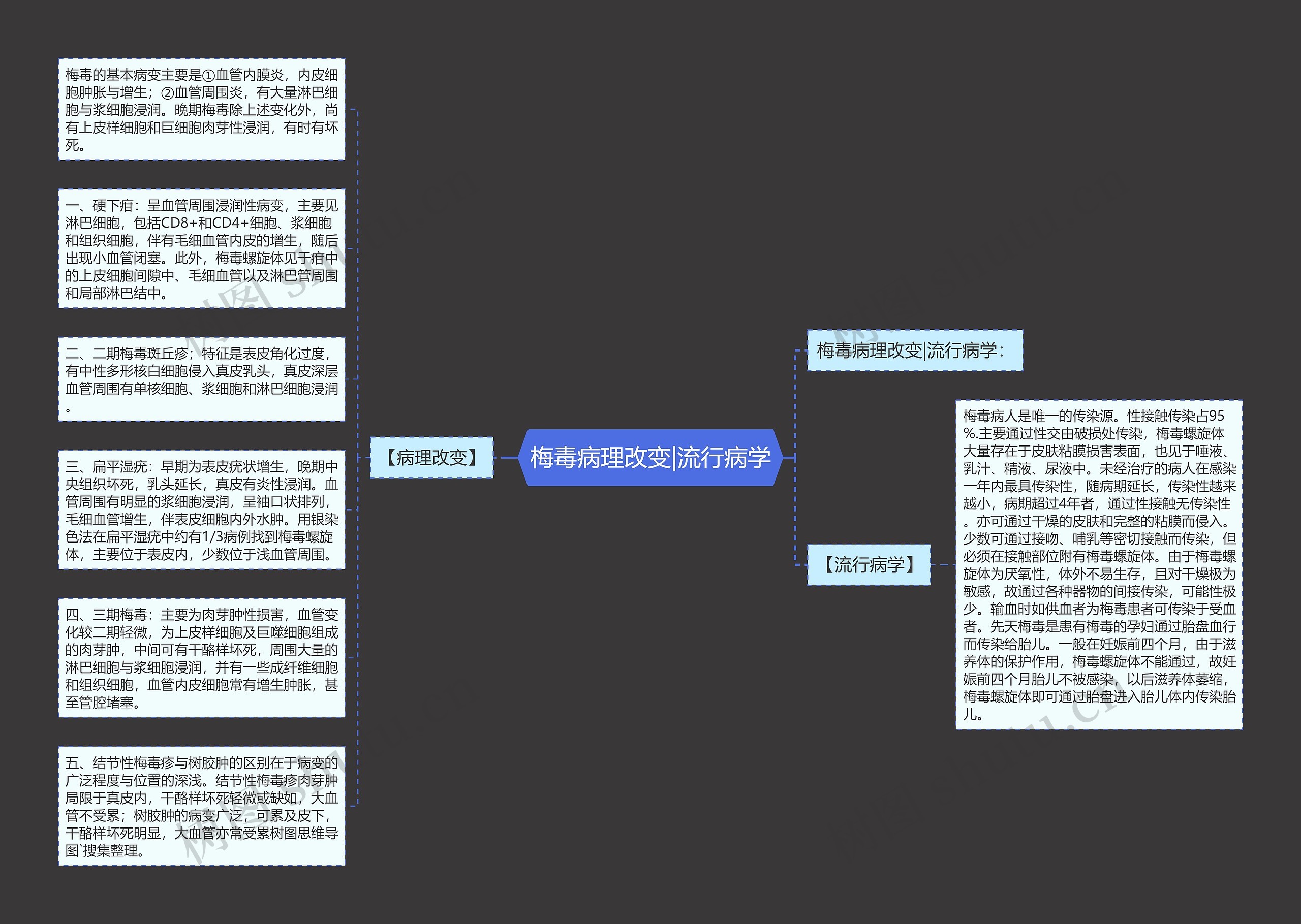 梅毒病理改变|流行病学