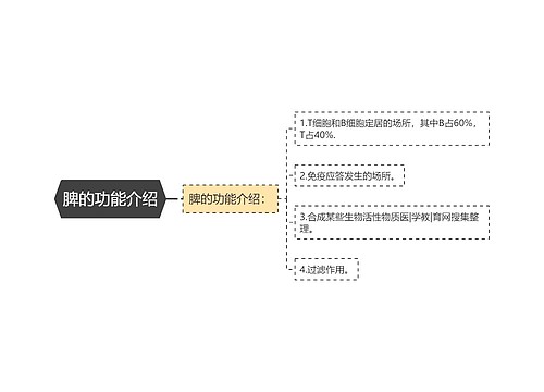 脾的功能介绍