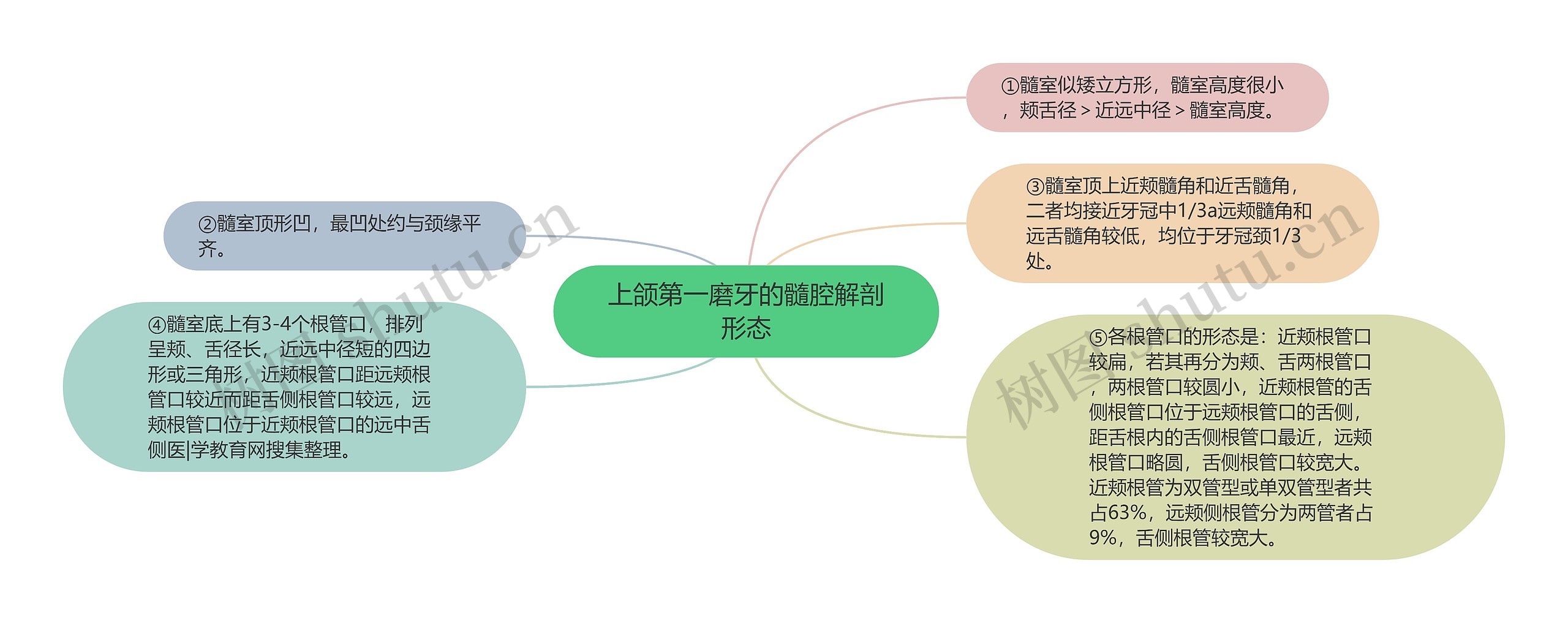 上颌第一磨牙的髓腔解剖形态思维导图