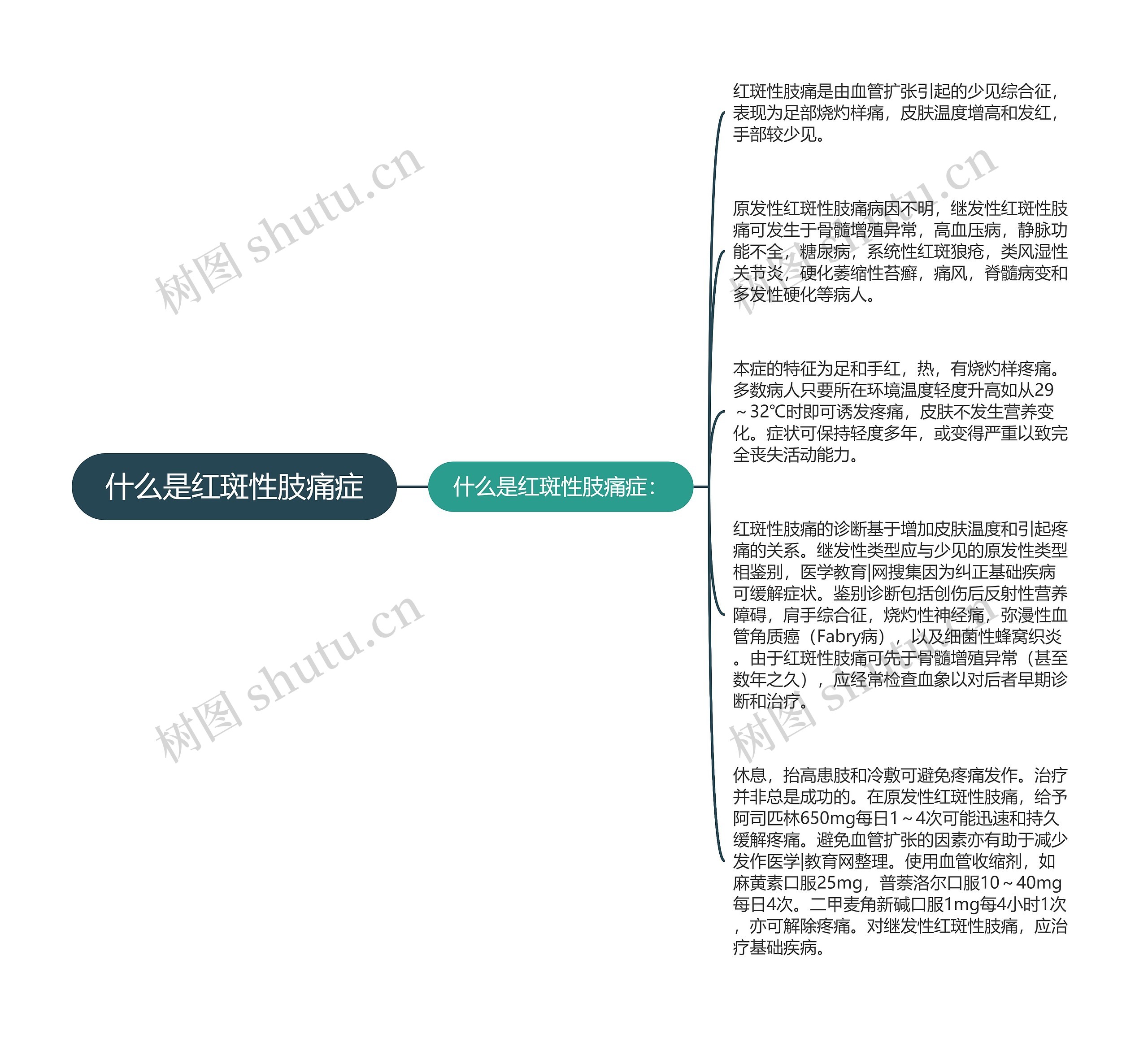 什么是红斑性肢痛症思维导图