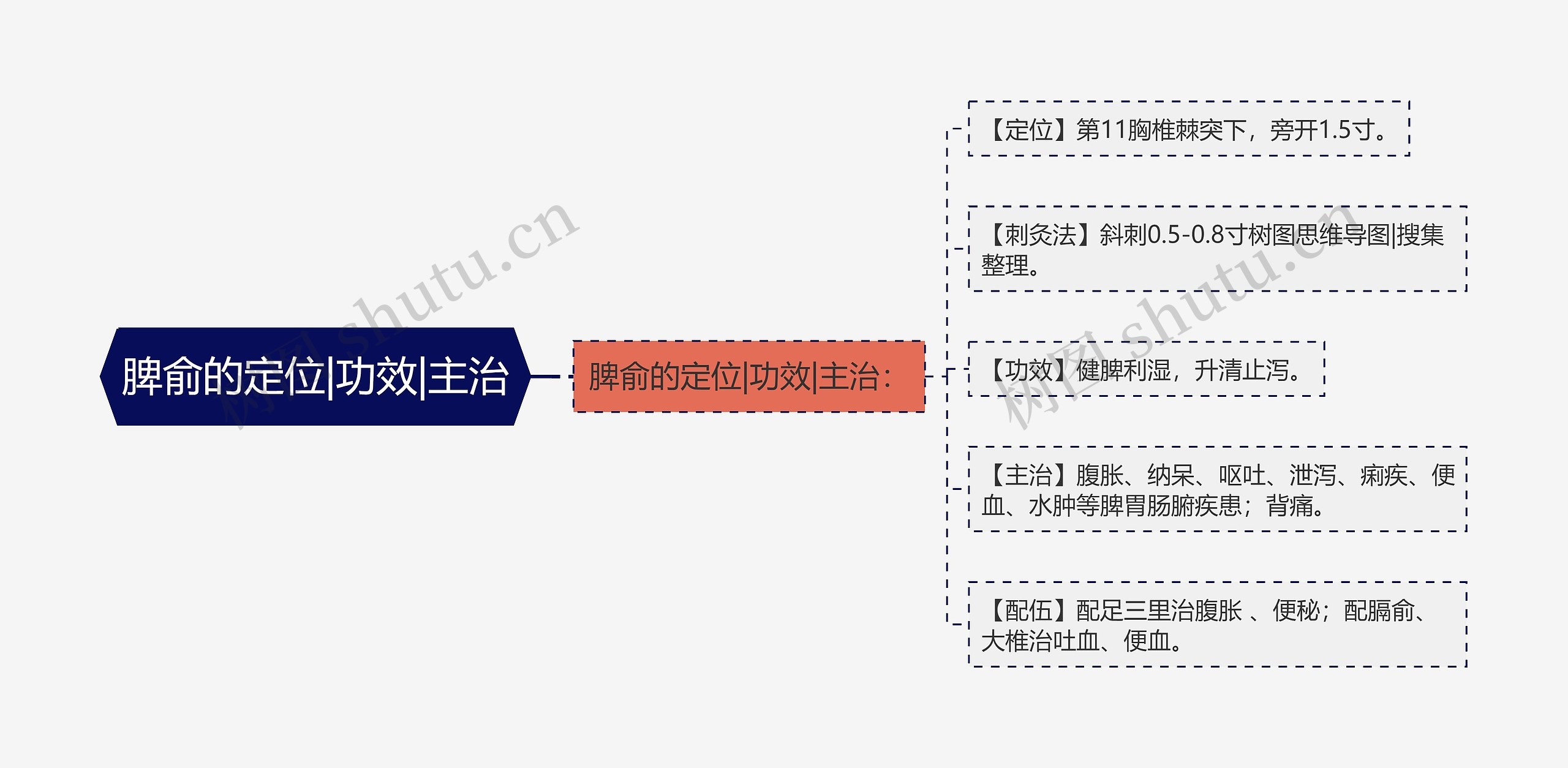 脾俞的定位|功效|主治