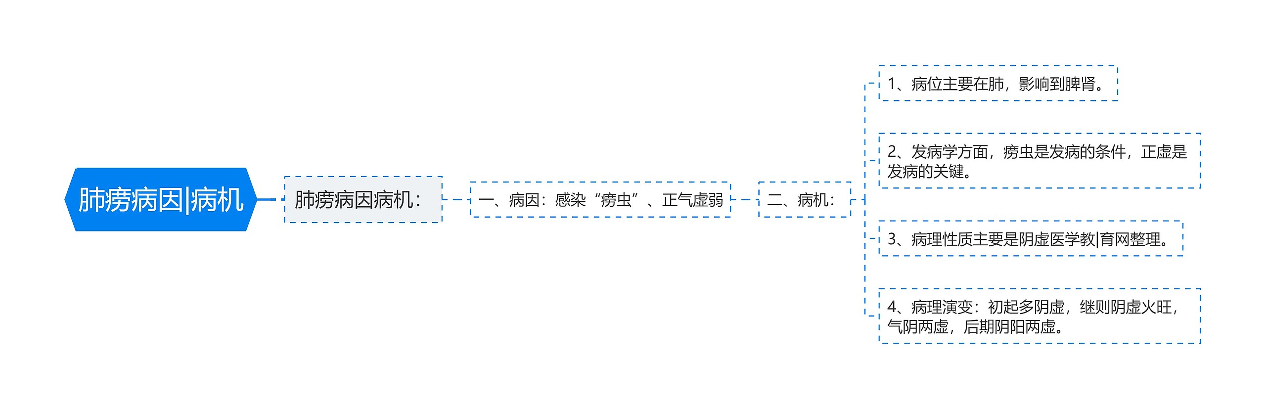 肺痨病因|病机思维导图