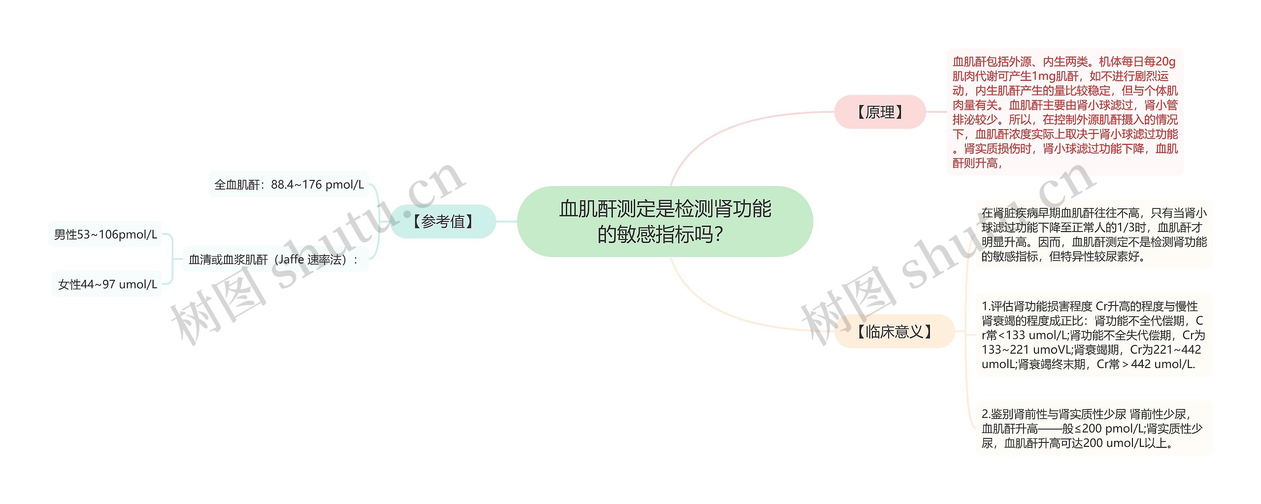 血肌酐测定是检测肾功能的敏感指标吗？思维导图