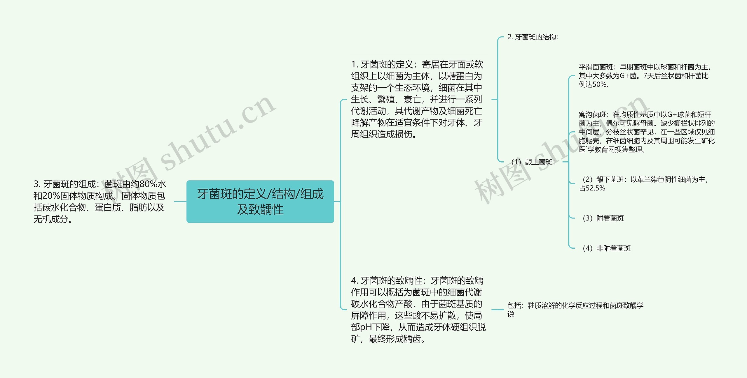 牙菌斑的定义/结构/组成及致龋性思维导图