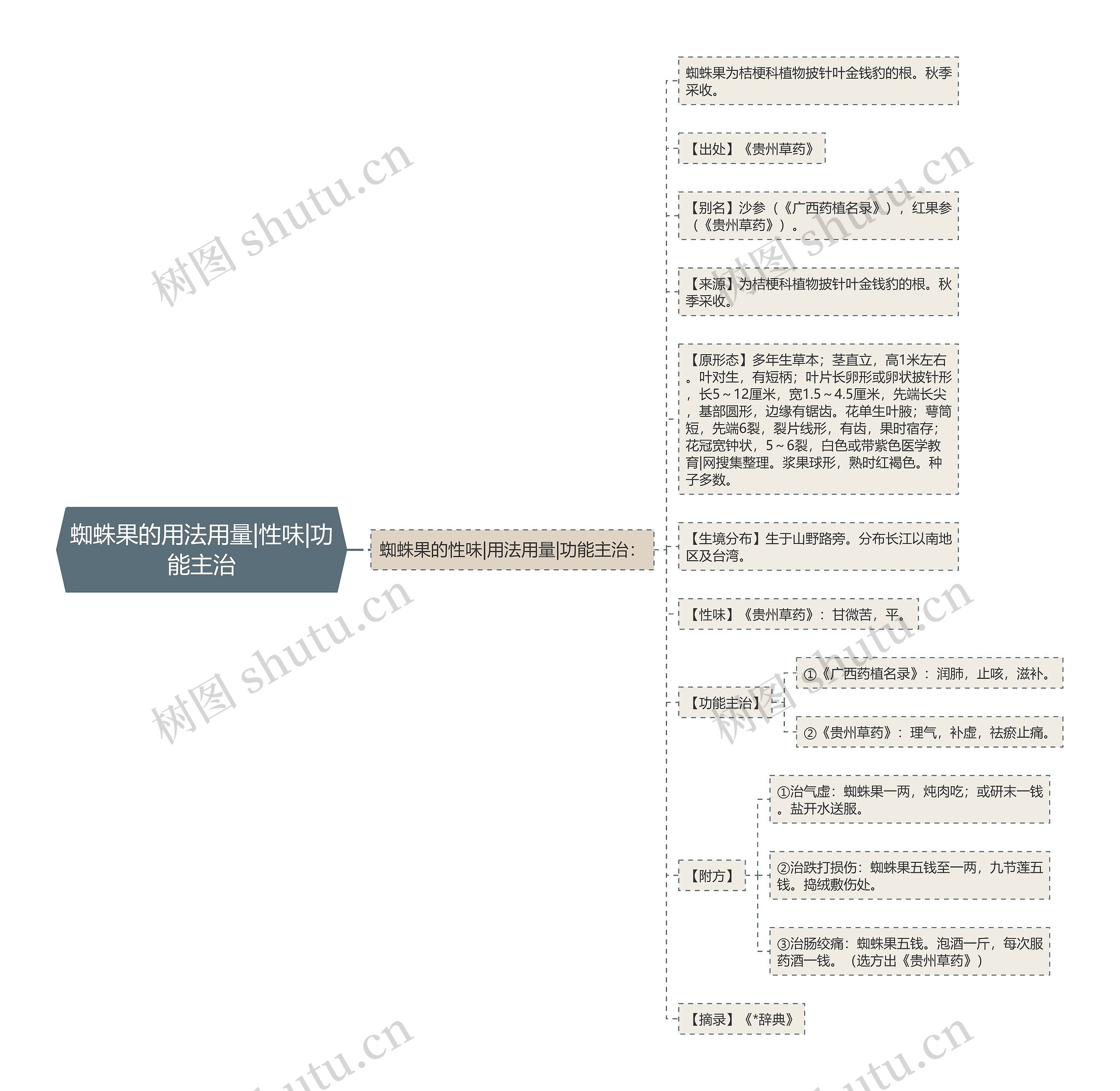 蜘蛛果的用法用量|性味|功能主治思维导图