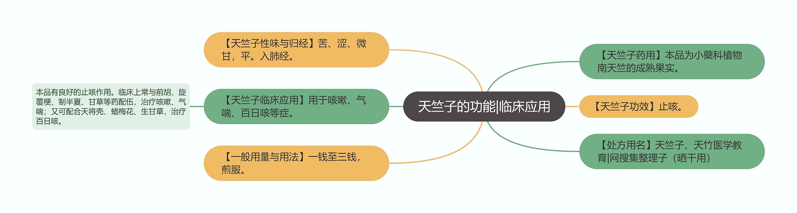 天竺子的功能|临床应用思维导图