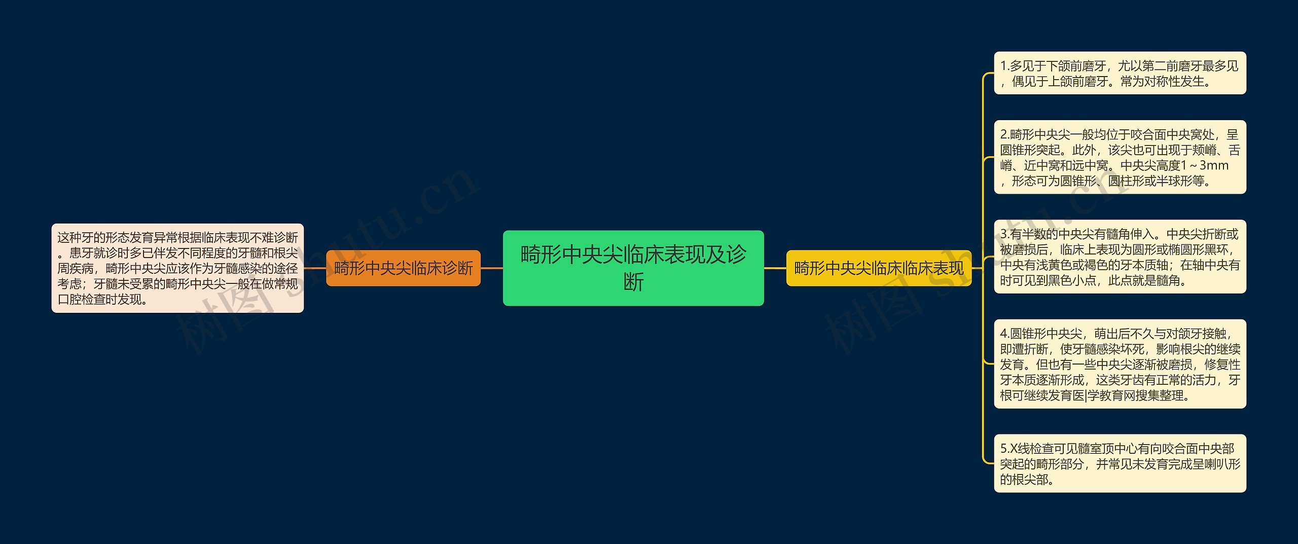 畸形中央尖临床表现及诊断 畸形中央尖临床表现及诊断