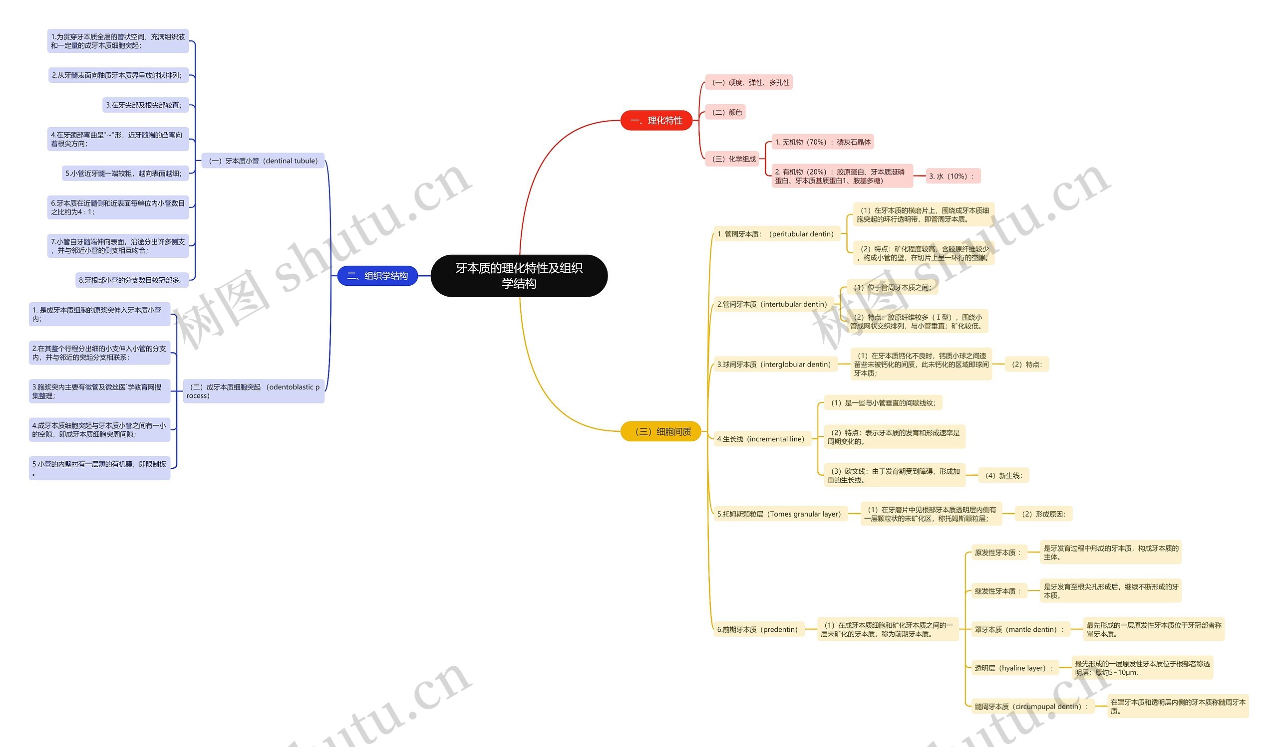 牙本质的理化特性及组织学结构 牙本质的理化特性及组织学结构