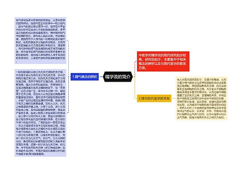 精学说的简介