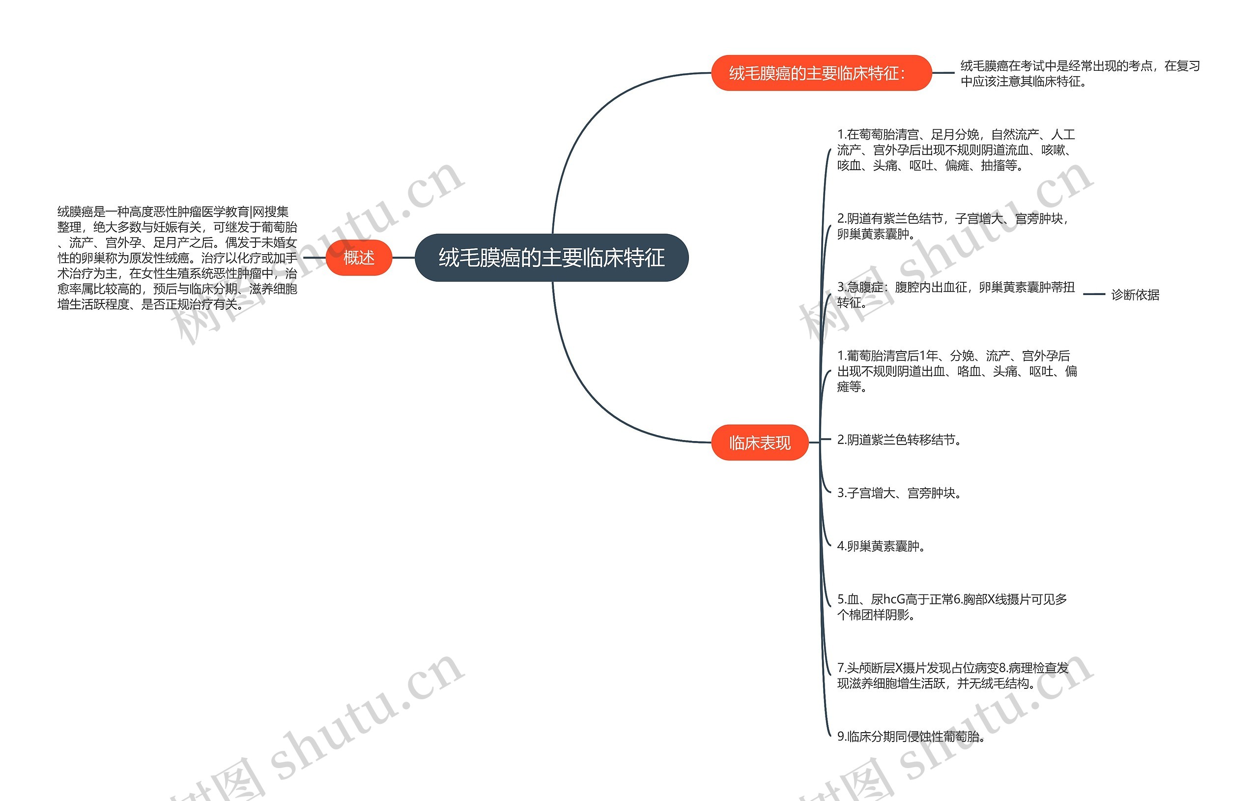 绒毛膜癌的主要临床特征思维导图