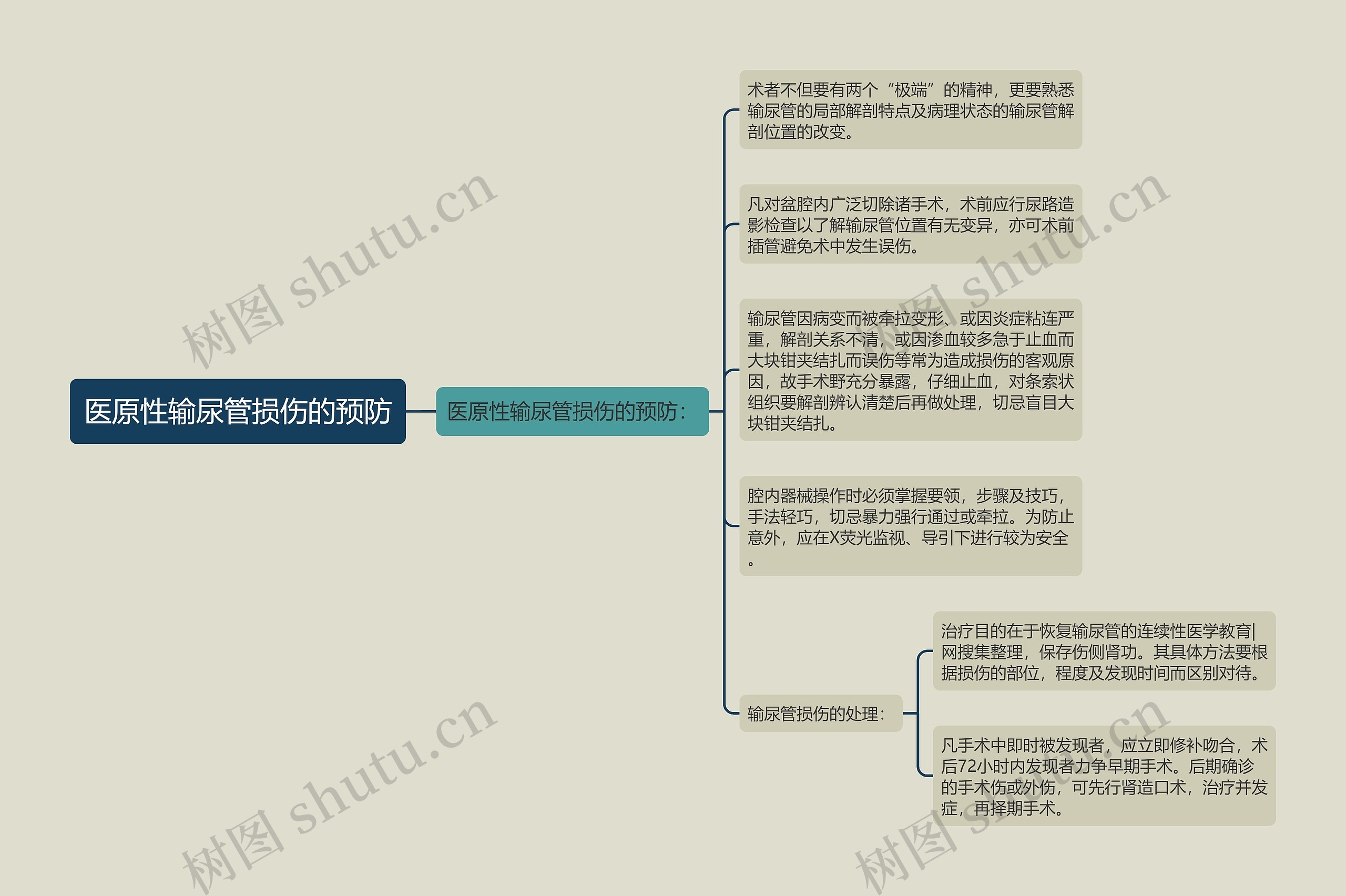 医原性输尿管损伤的预防思维导图