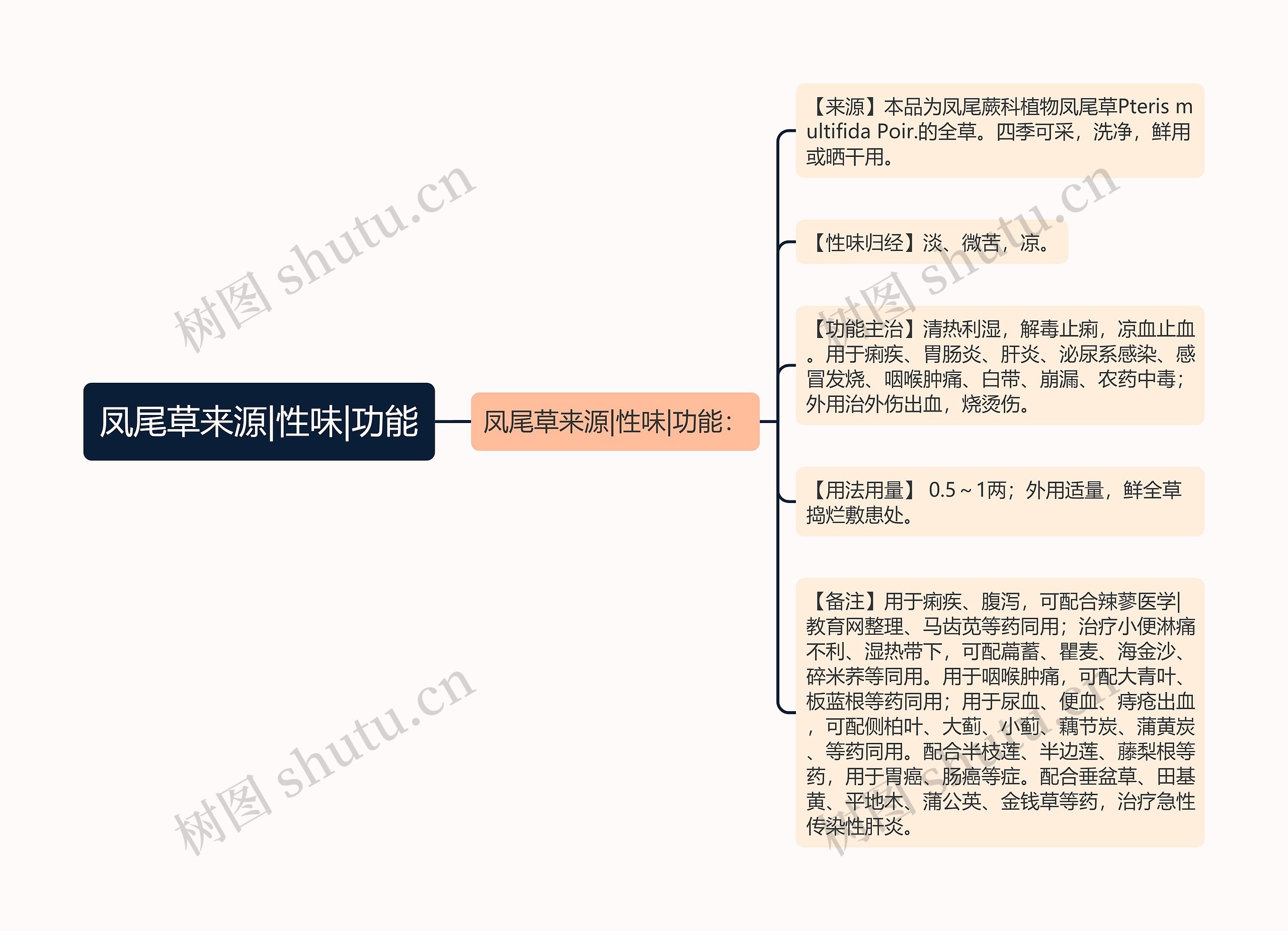 凤尾草来源|性味|功能思维导图