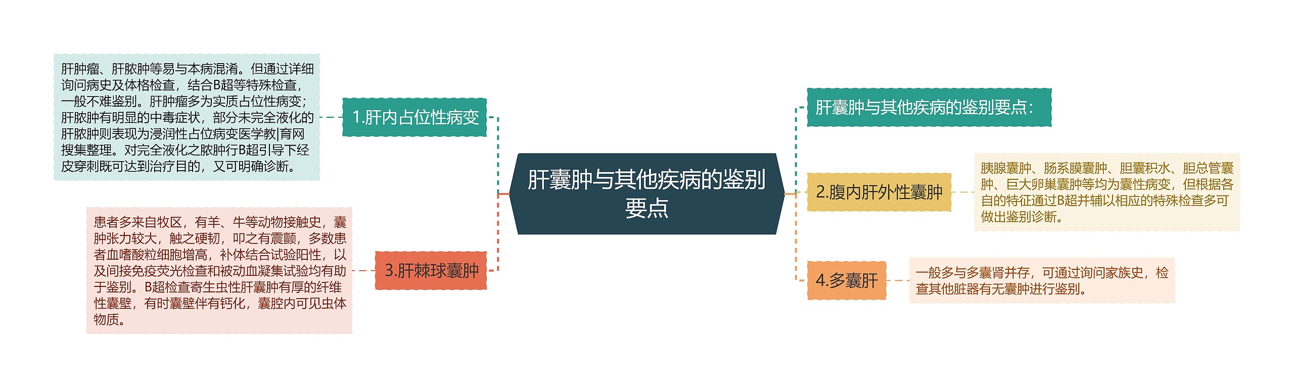 肝囊肿与其他疾病的鉴别要点思维导图