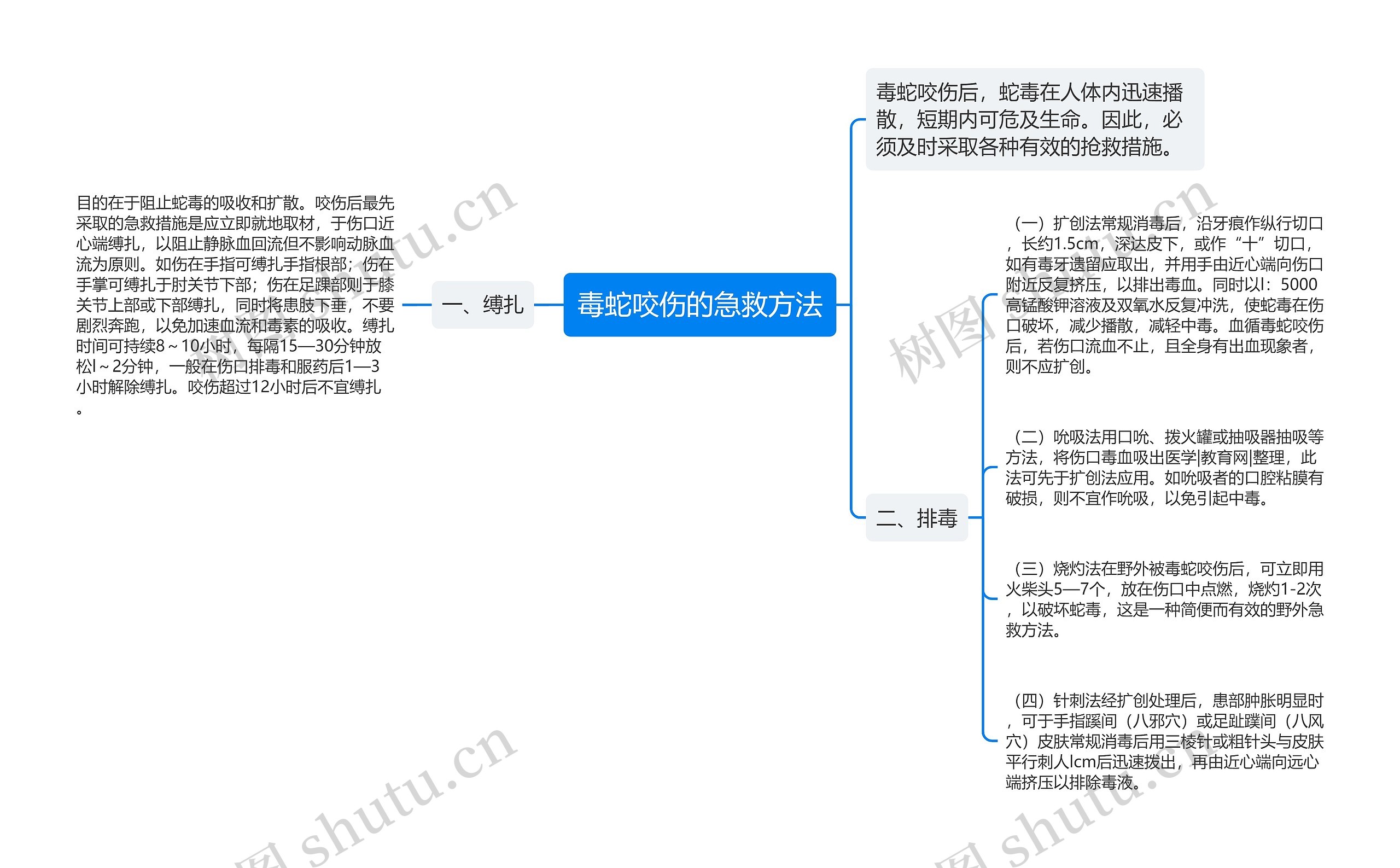 毒蛇咬伤的急救方法