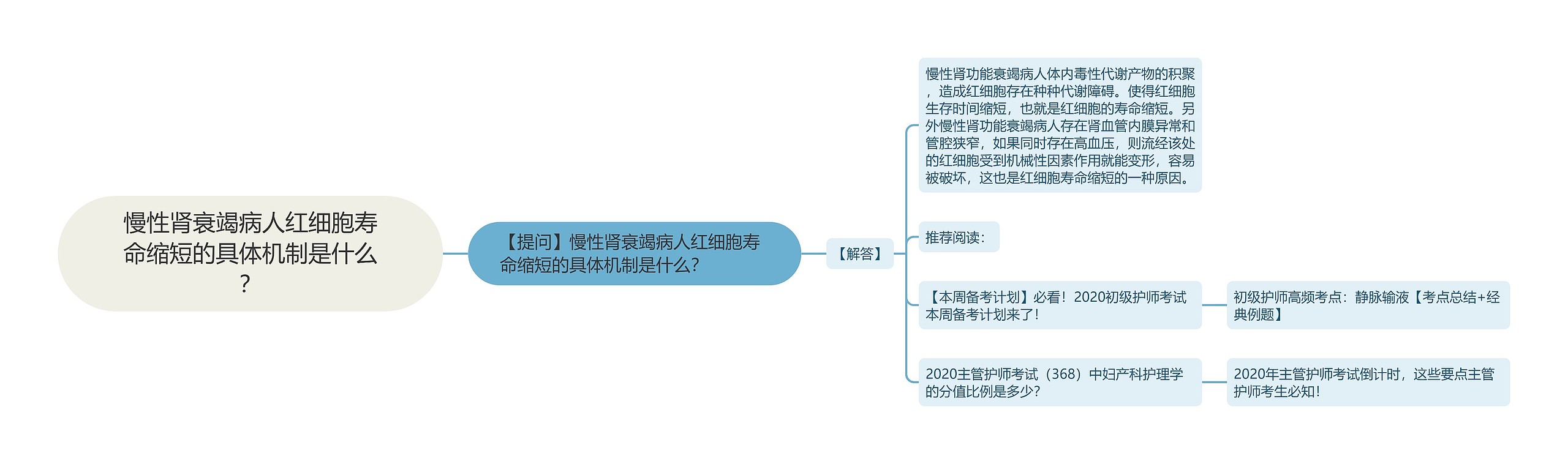 慢性肾衰竭病人红细胞寿命缩短的具体机制是什么？思维导图