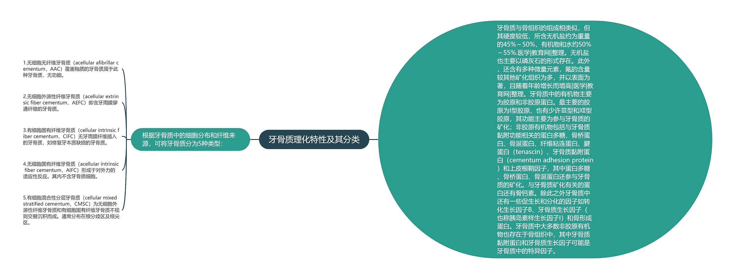 牙骨质理化特性及其分类 牙骨质理化特性及其分类