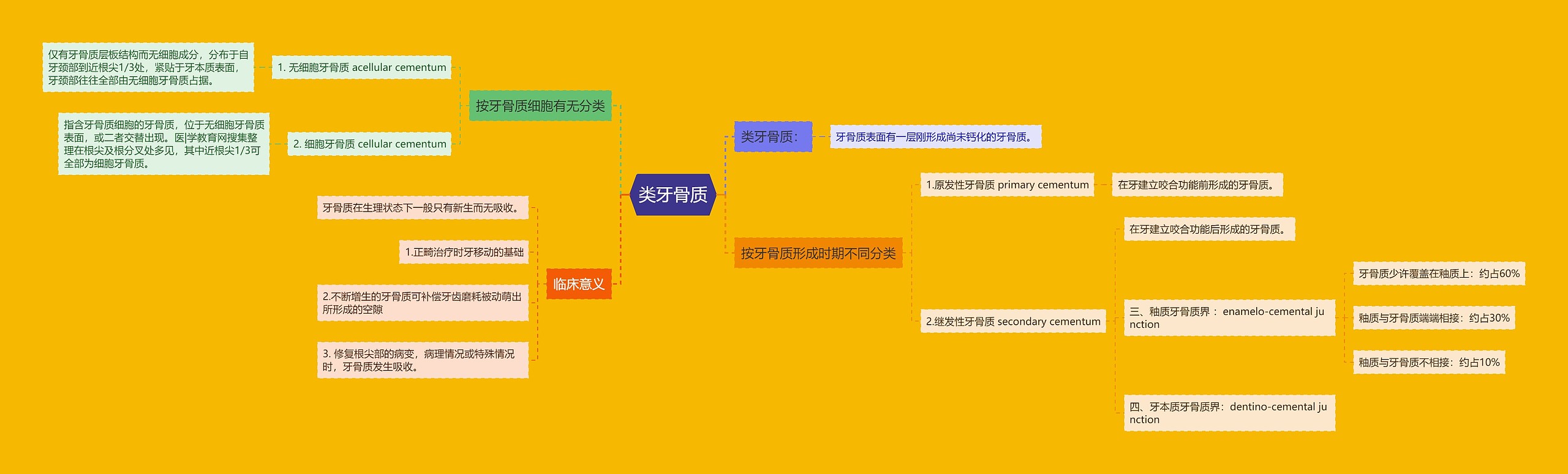 类牙骨质思维导图