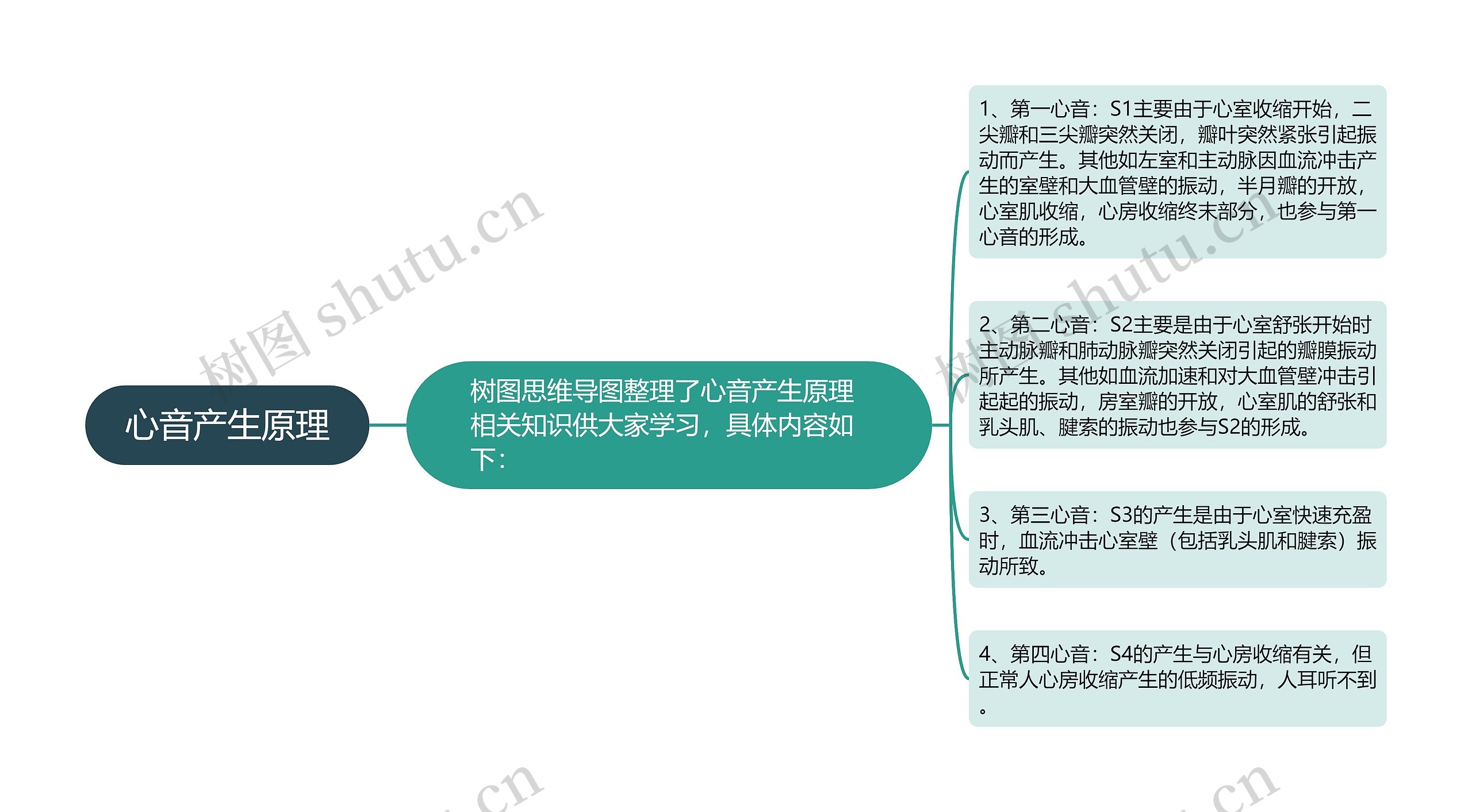 心音产生原理