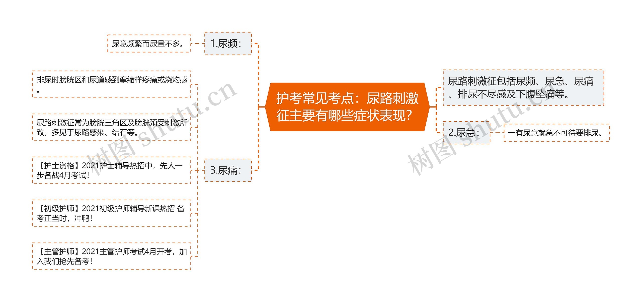 护考常见考点：尿路刺激征主要有哪些症状表现？