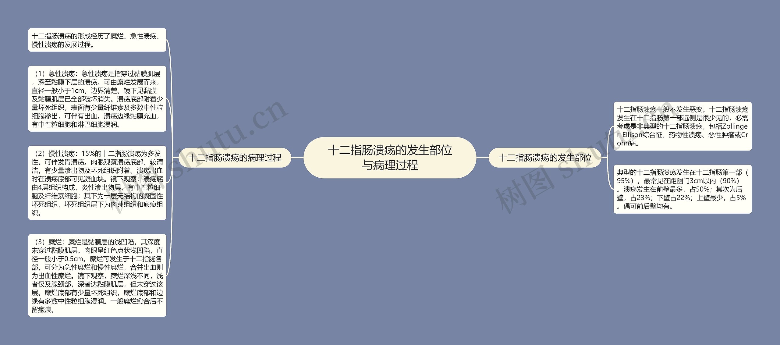 十二指肠溃疡的发生部位​与病理过程思维导图