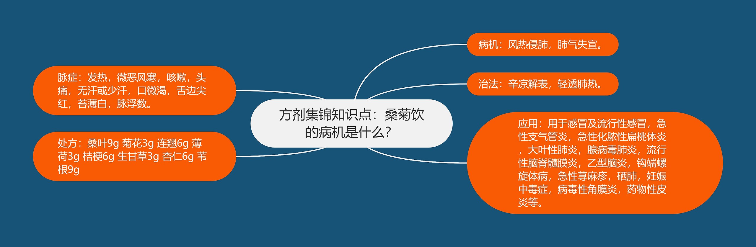 方剂集锦知识点：桑菊饮的病机是什么？思维导图