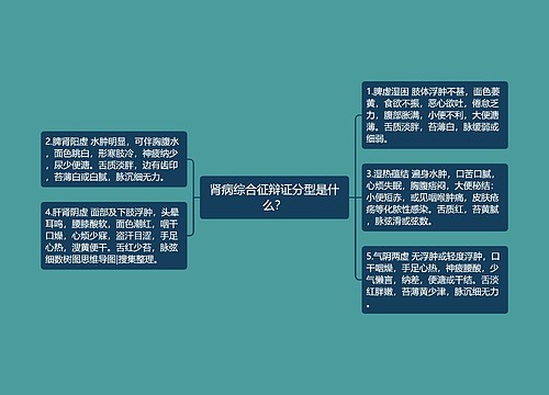 肾病综合征辩证分型是什么？