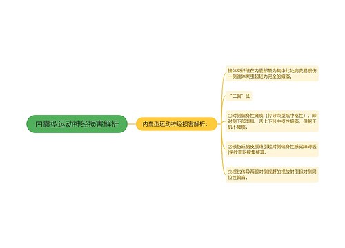 内囊型运动神经损害解析