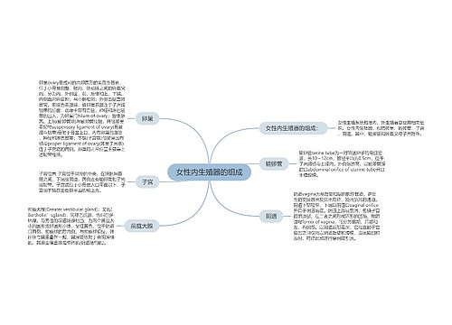 女性内生殖器的组成