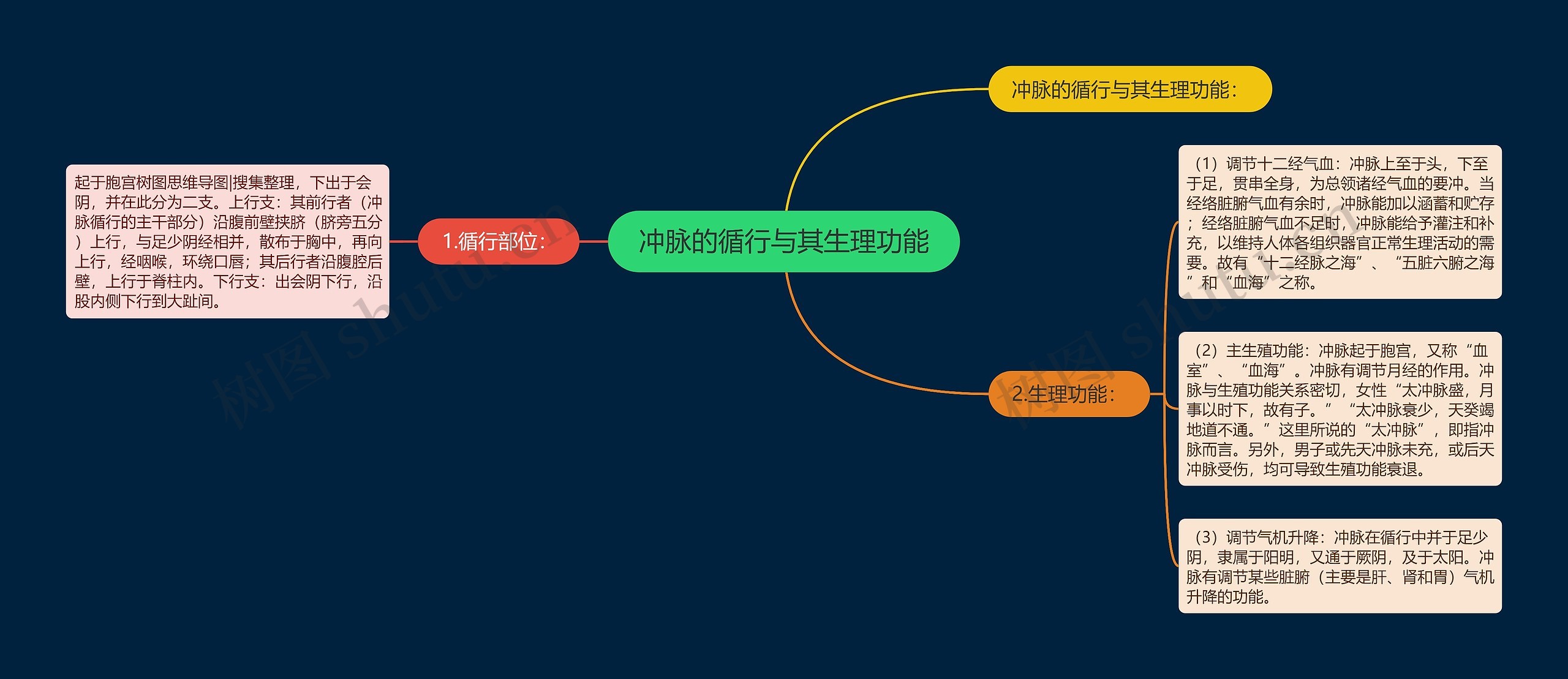 冲脉的循行与其生理功能思维导图