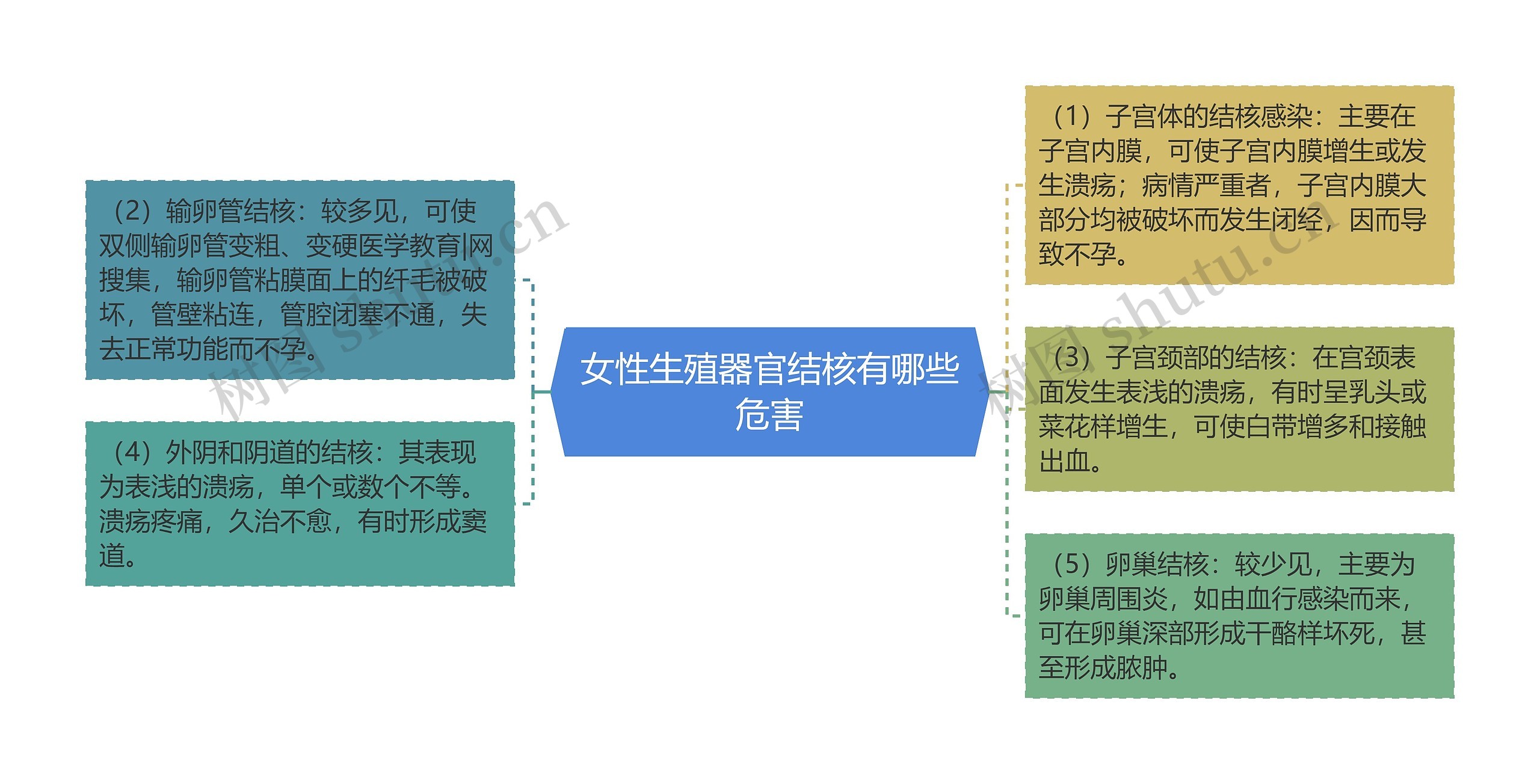 女性生殖器官结核有哪些危害思维导图