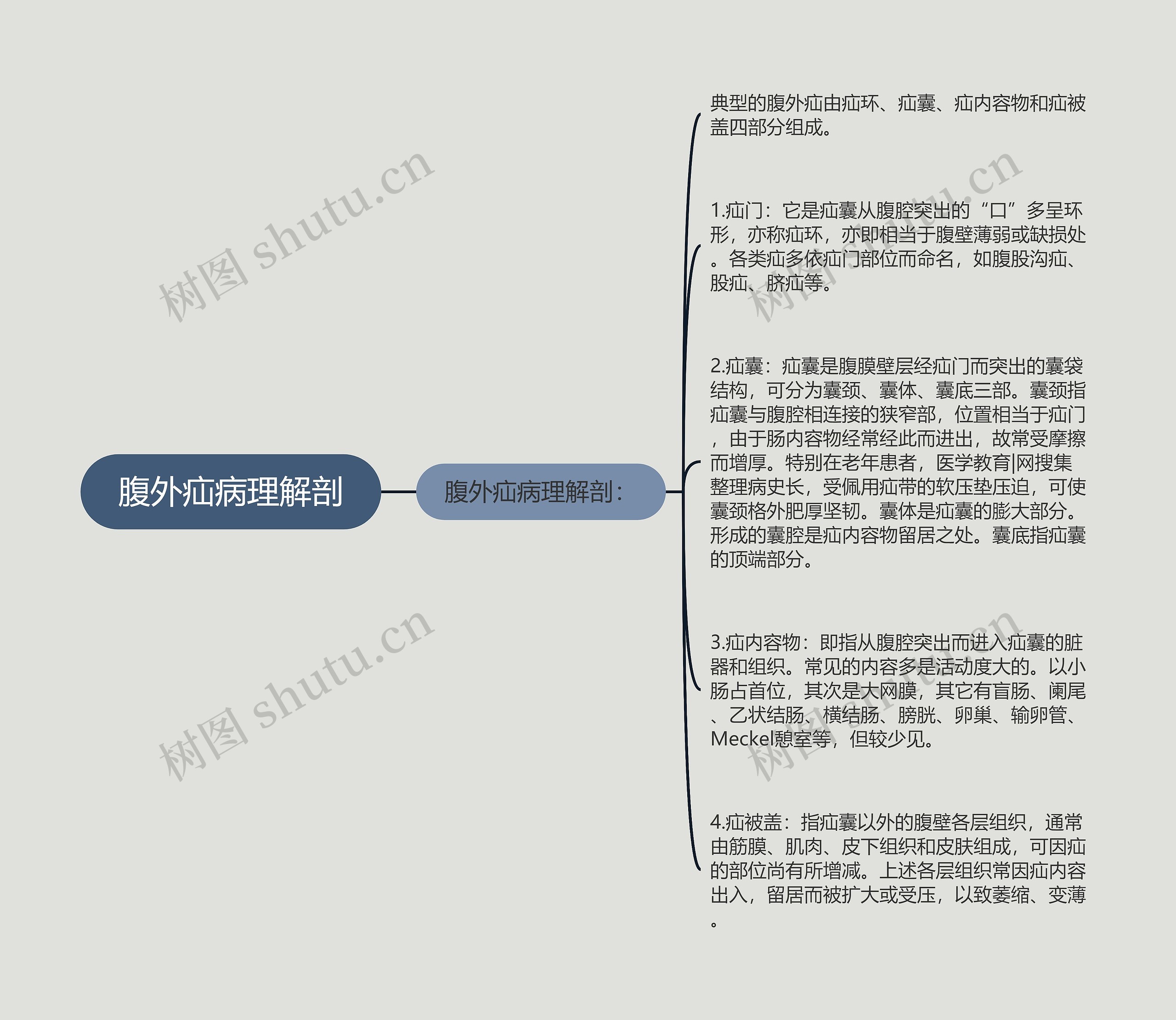 腹外疝病理解剖思维导图