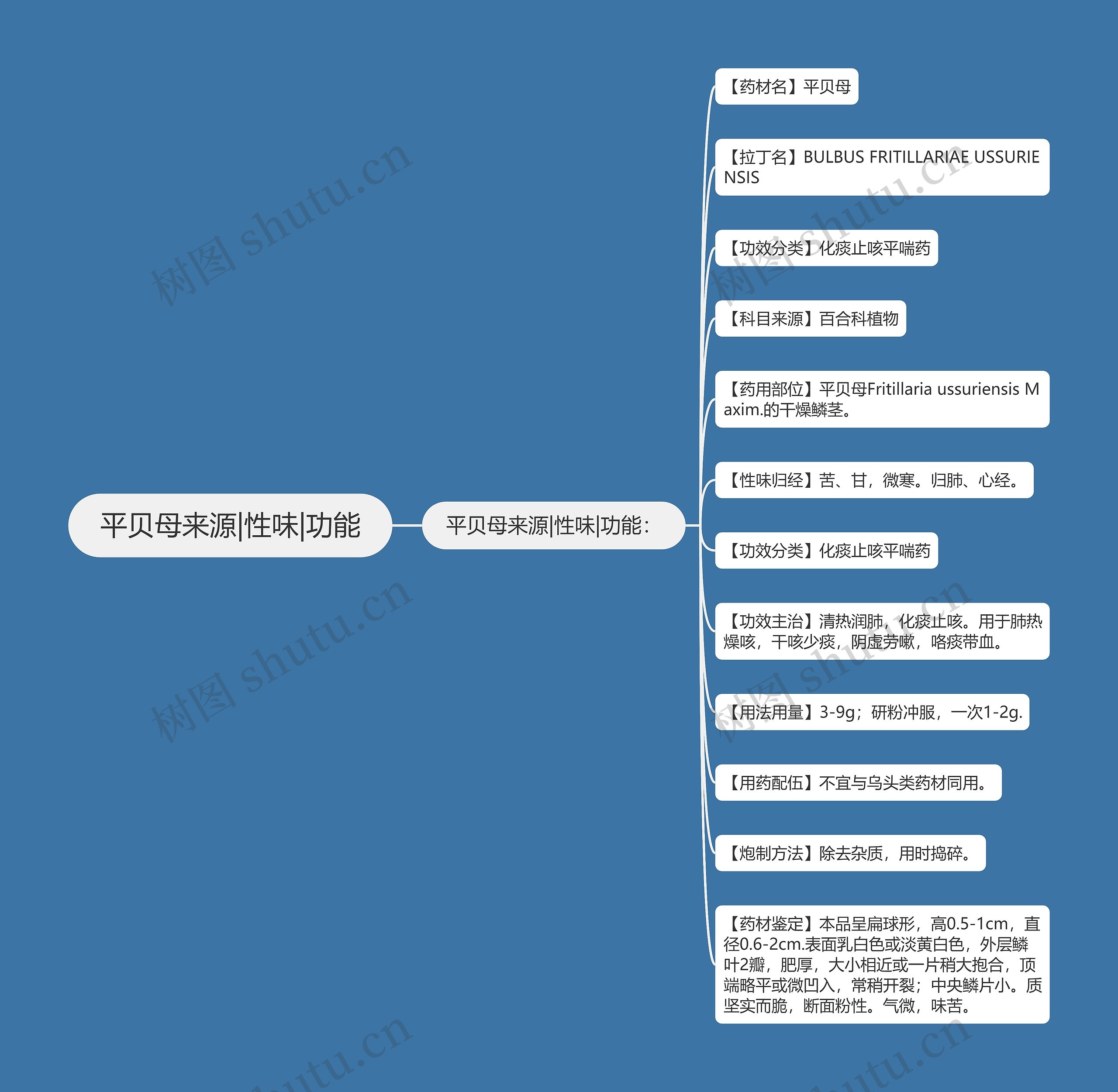 平贝母来源|性味|功能