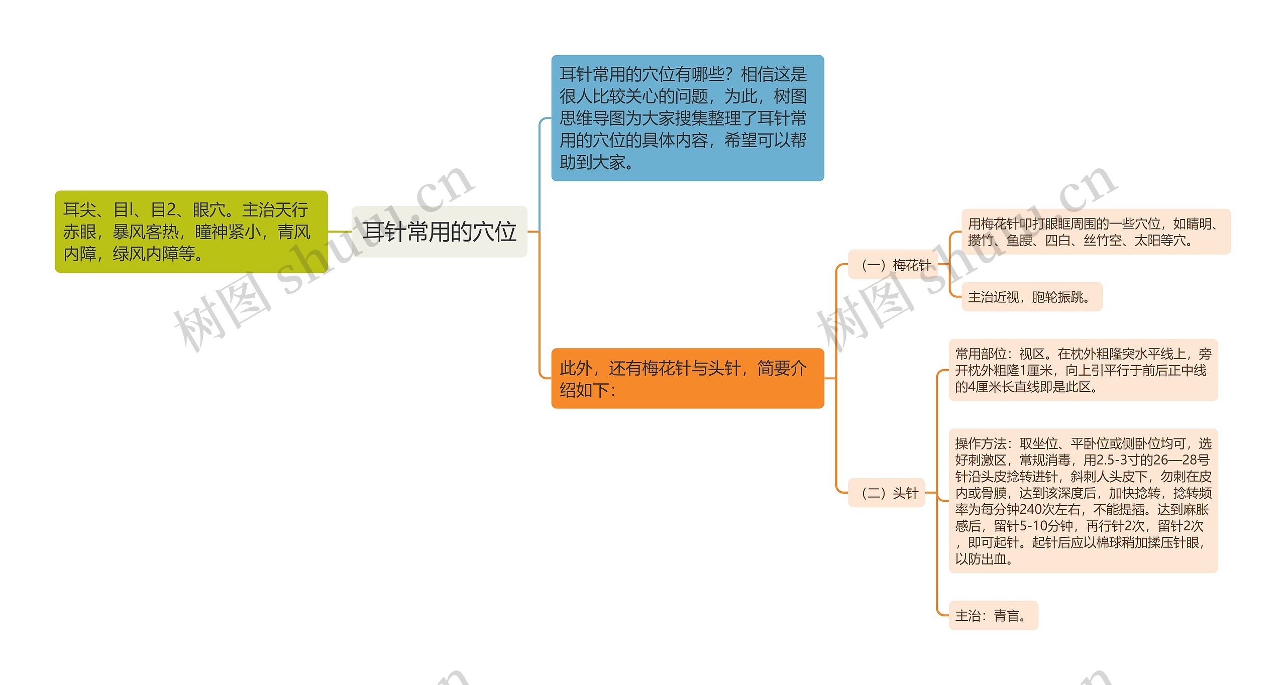 耳针常用的穴位