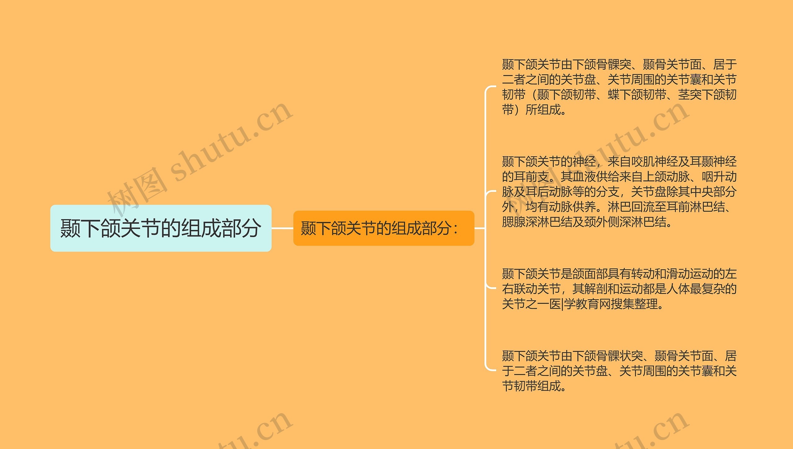 颞下颌关节的组成部分思维导图