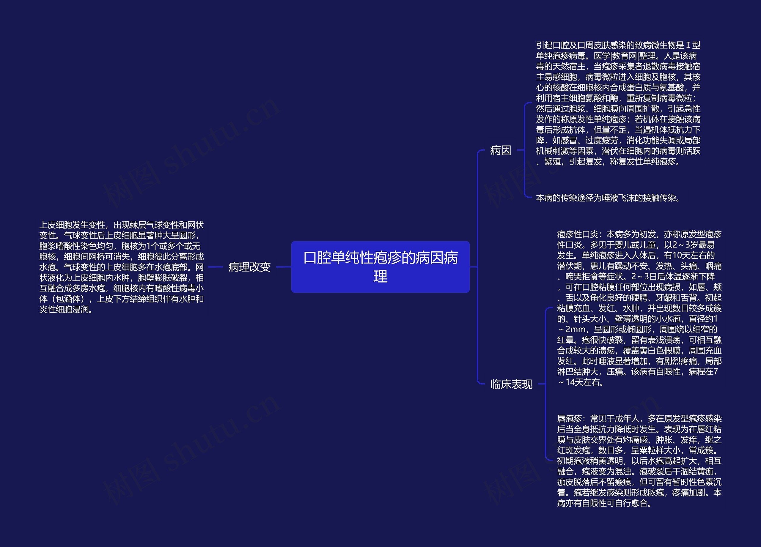 口腔单纯性疱疹的病因病理思维导图