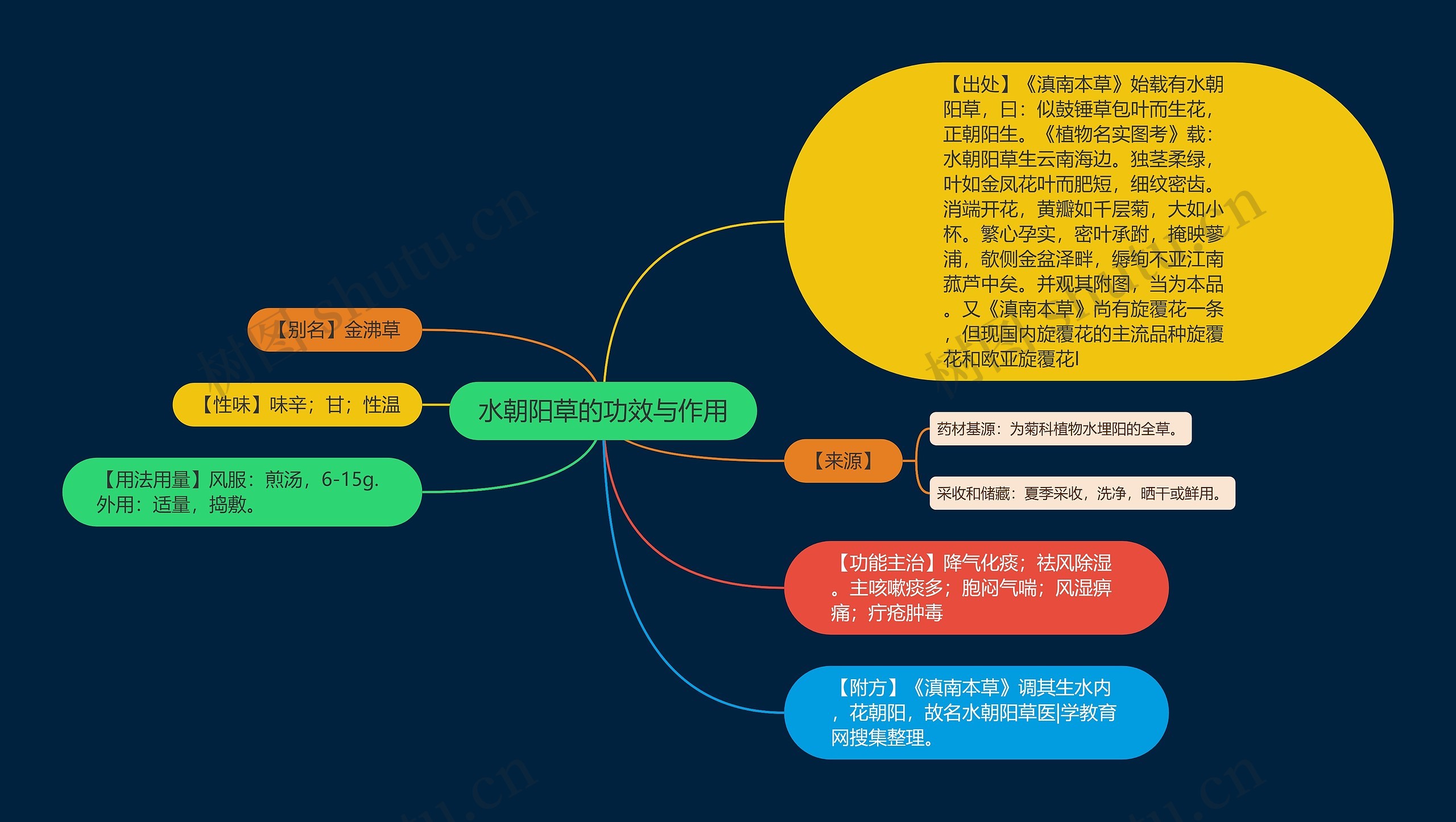 水朝阳草的功效与作用思维导图