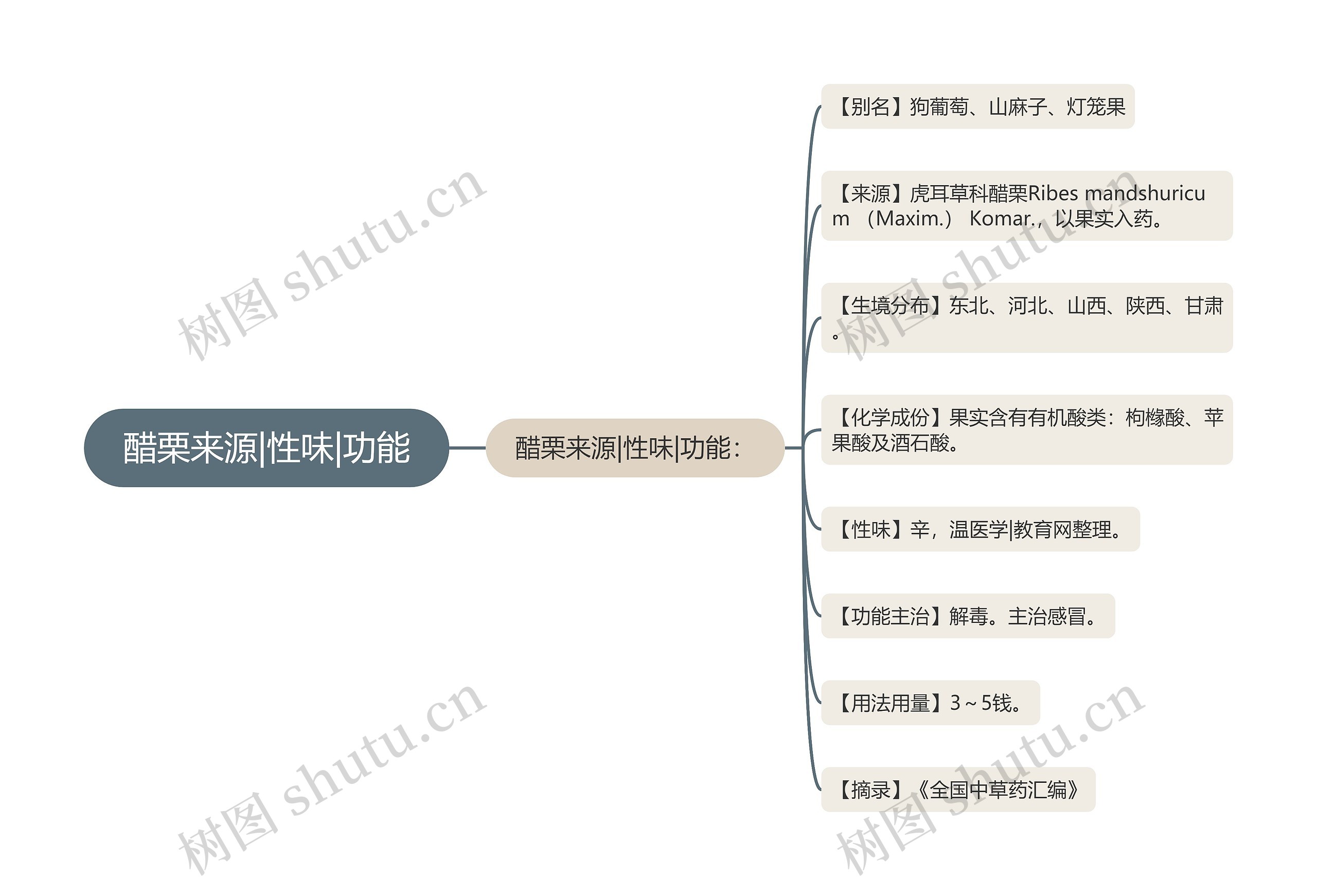 醋栗来源|性味|功能思维导图