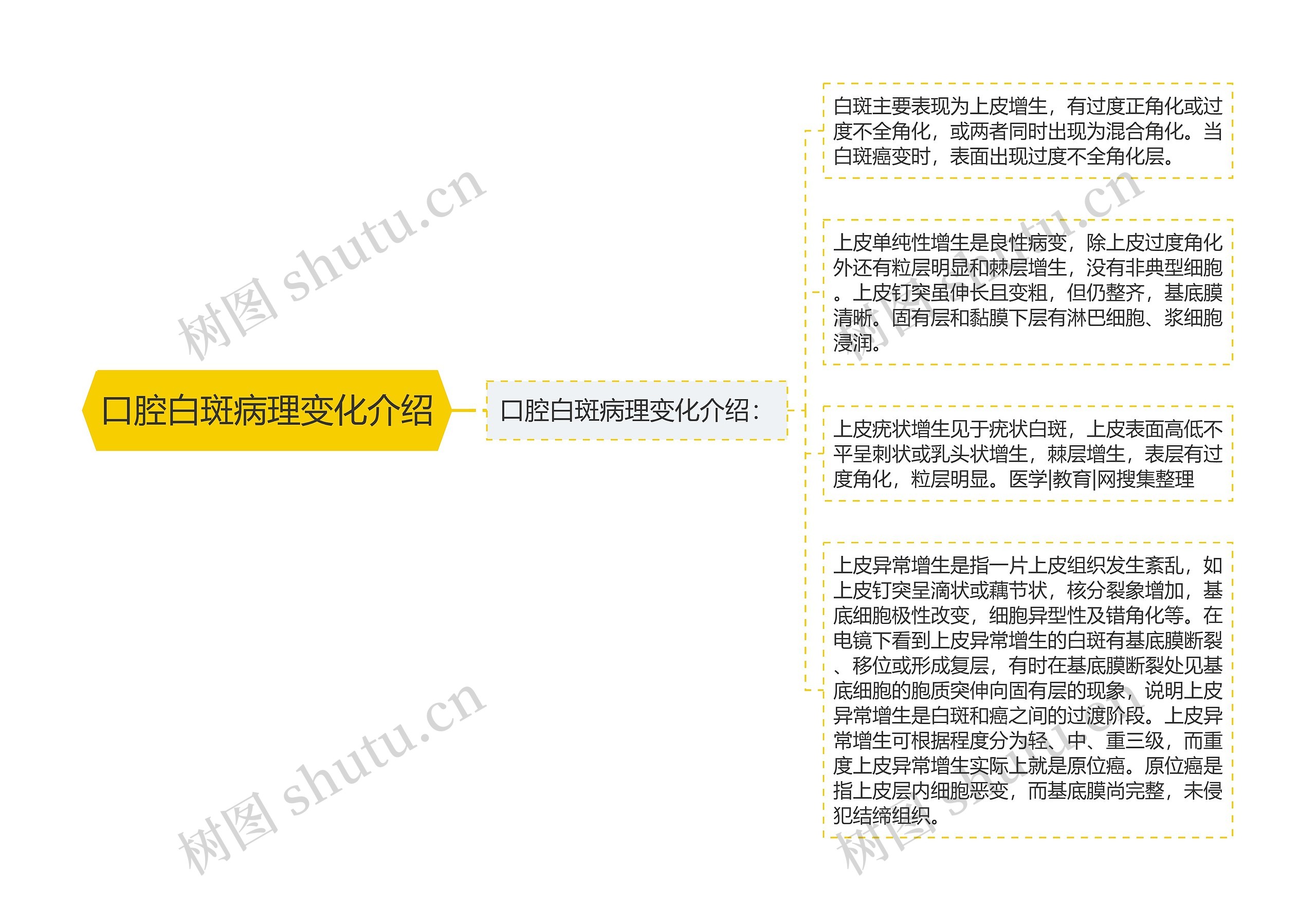 口腔白斑病理变化介绍