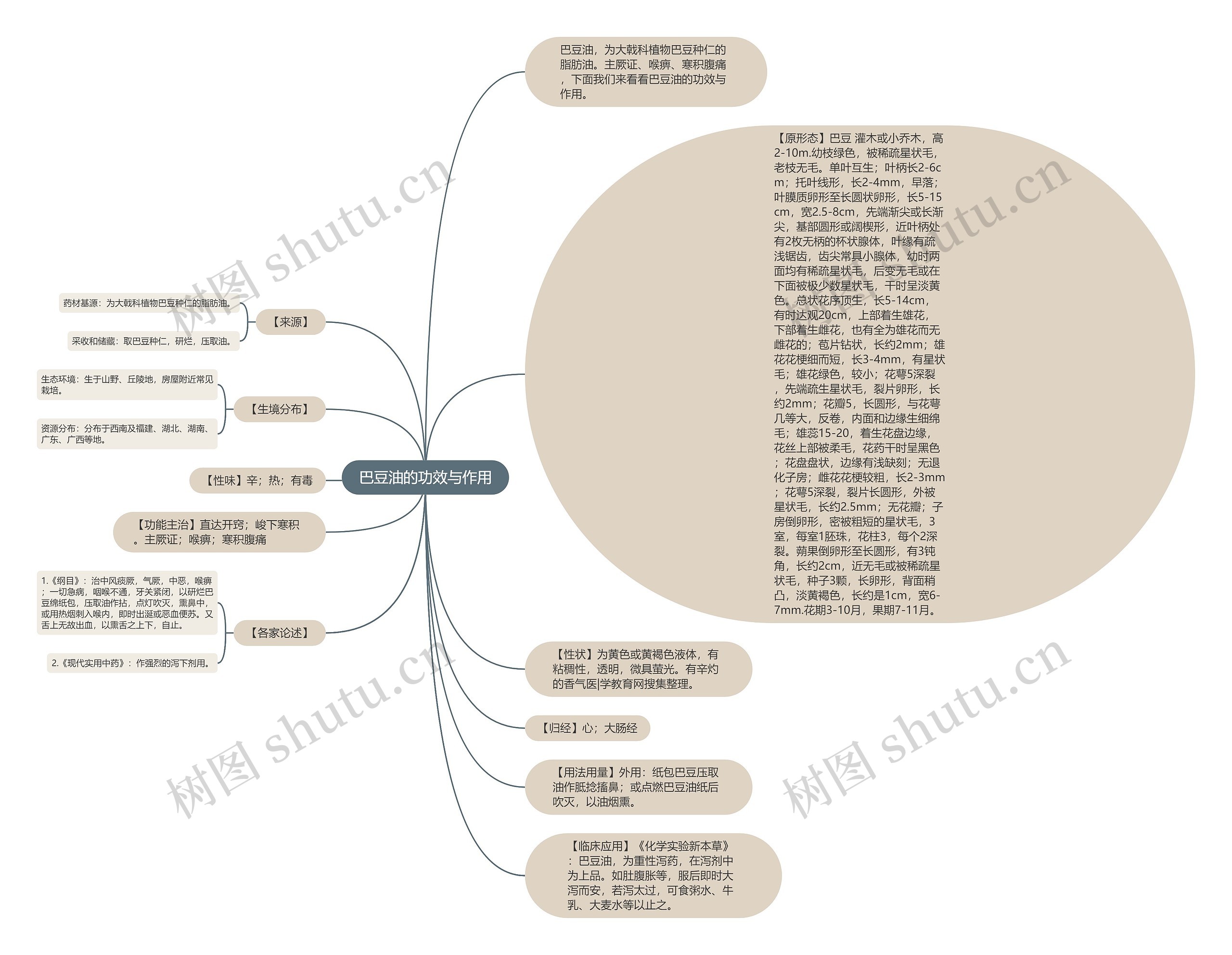 巴豆油的功效与作用思维导图