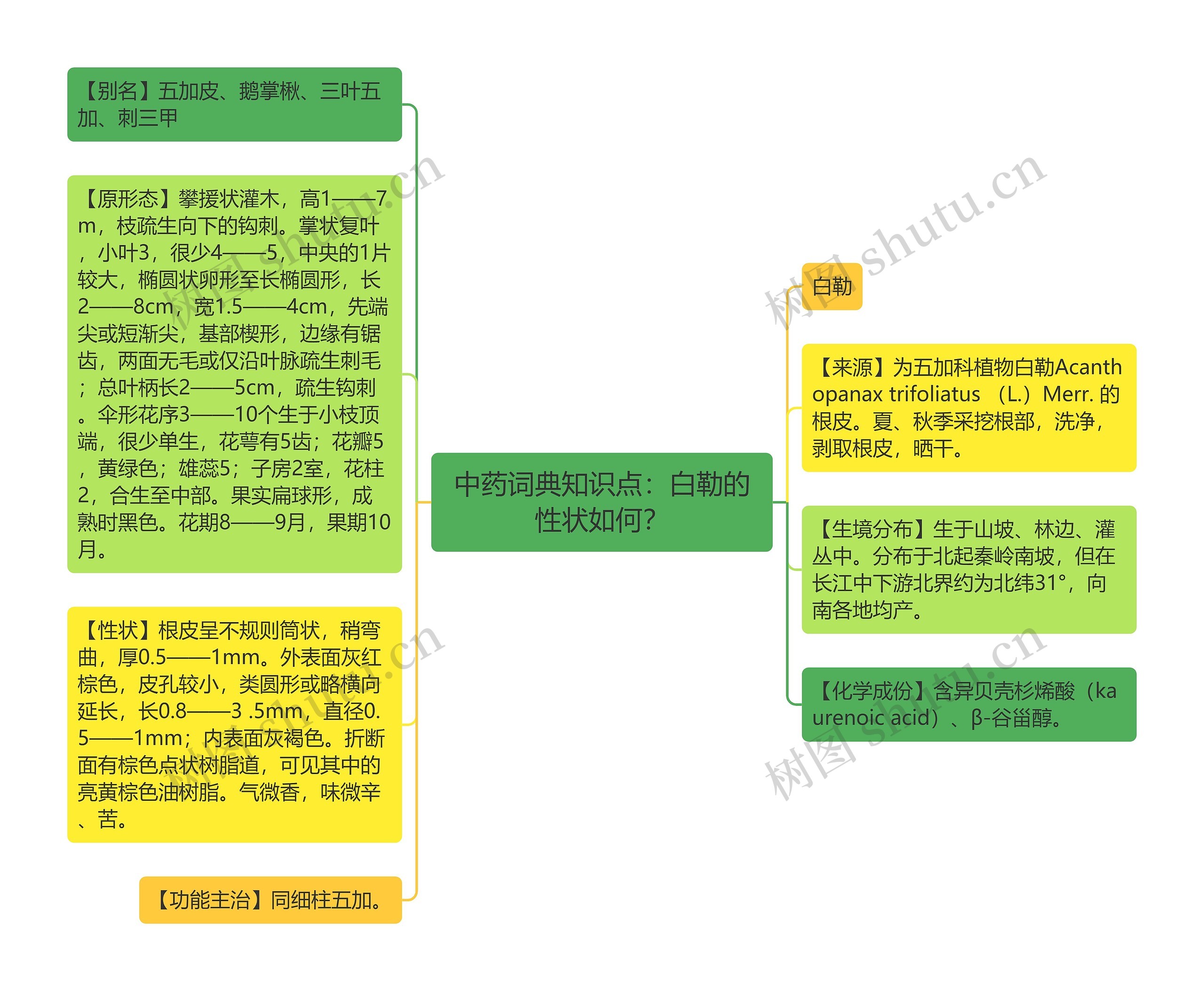 中药词典知识点：白勒的性状如何？