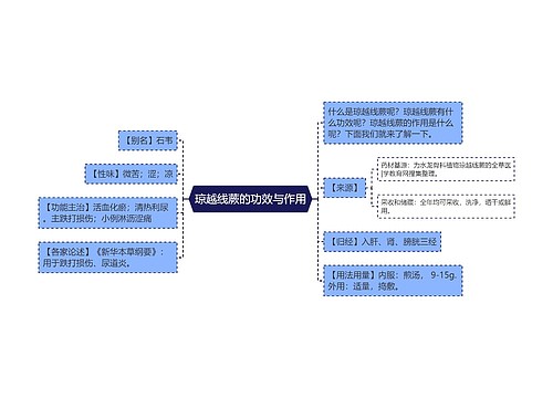 琼越线蕨的功效与作用