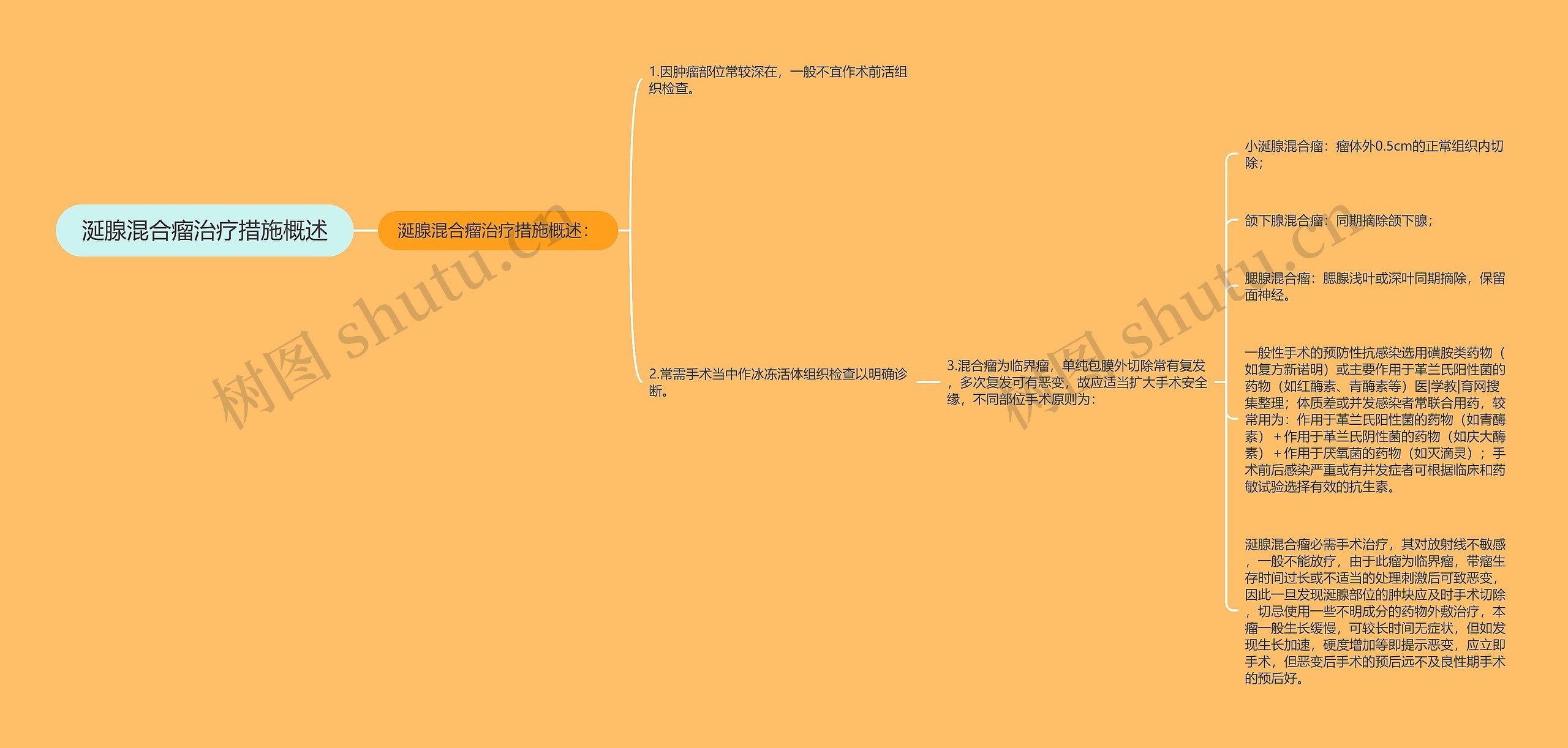 涎腺混合瘤治疗措施概述思维导图