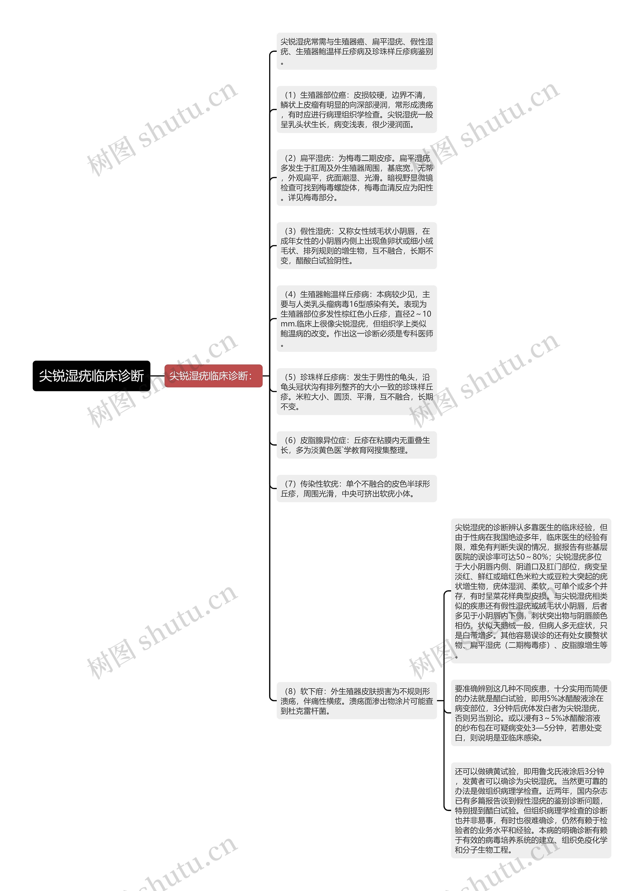 尖锐湿疣临床诊断思维导图