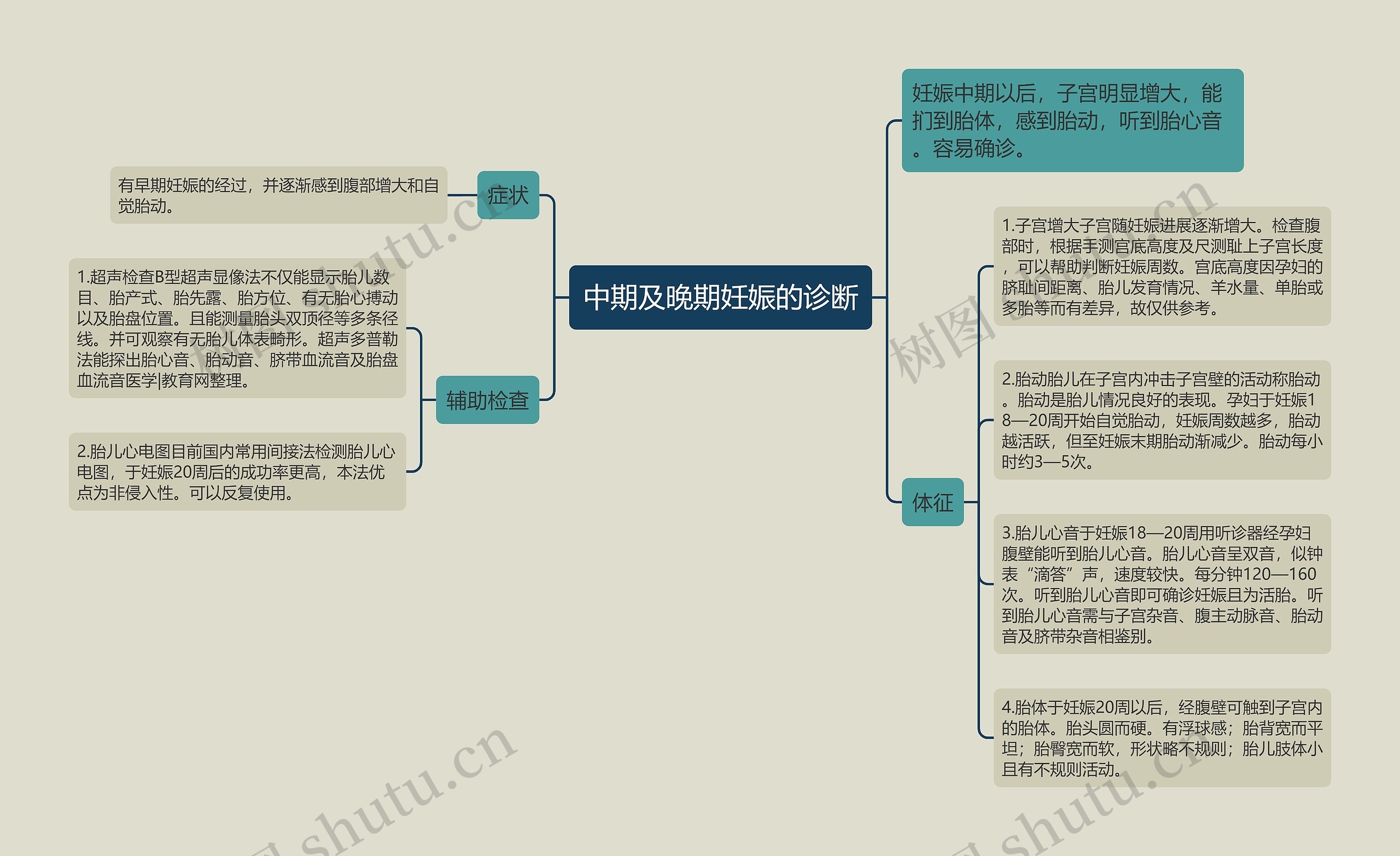 中期及晚期妊娠的诊断