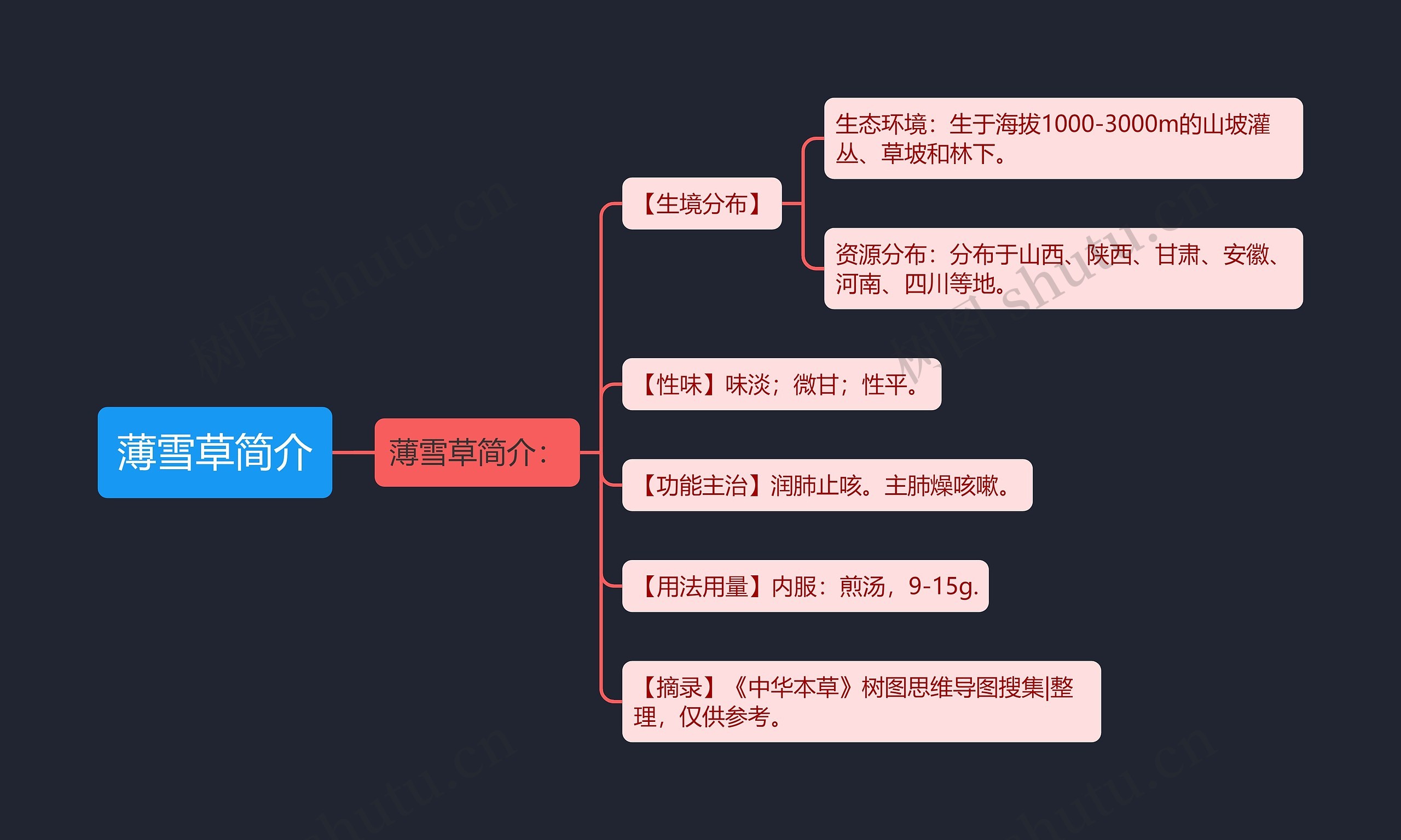 薄雪草简介思维导图