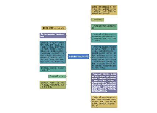 岩黄莲的功效与作用