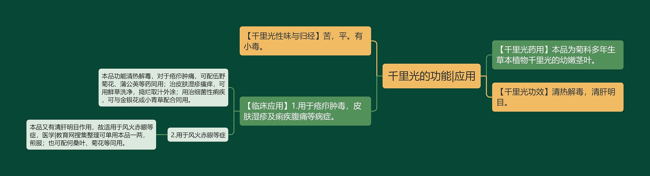 千里光的功能|应用思维导图