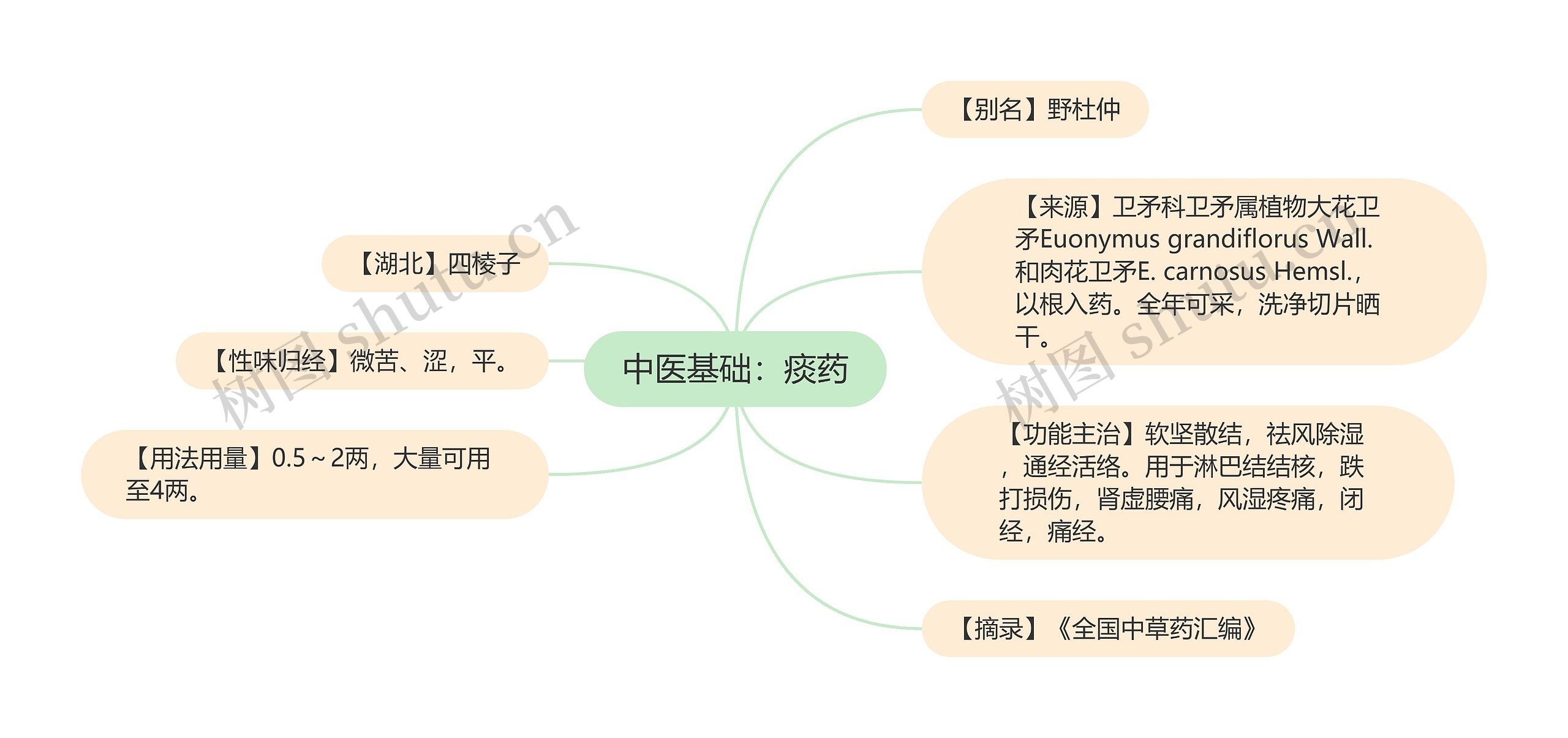 中医基础：痰药思维导图