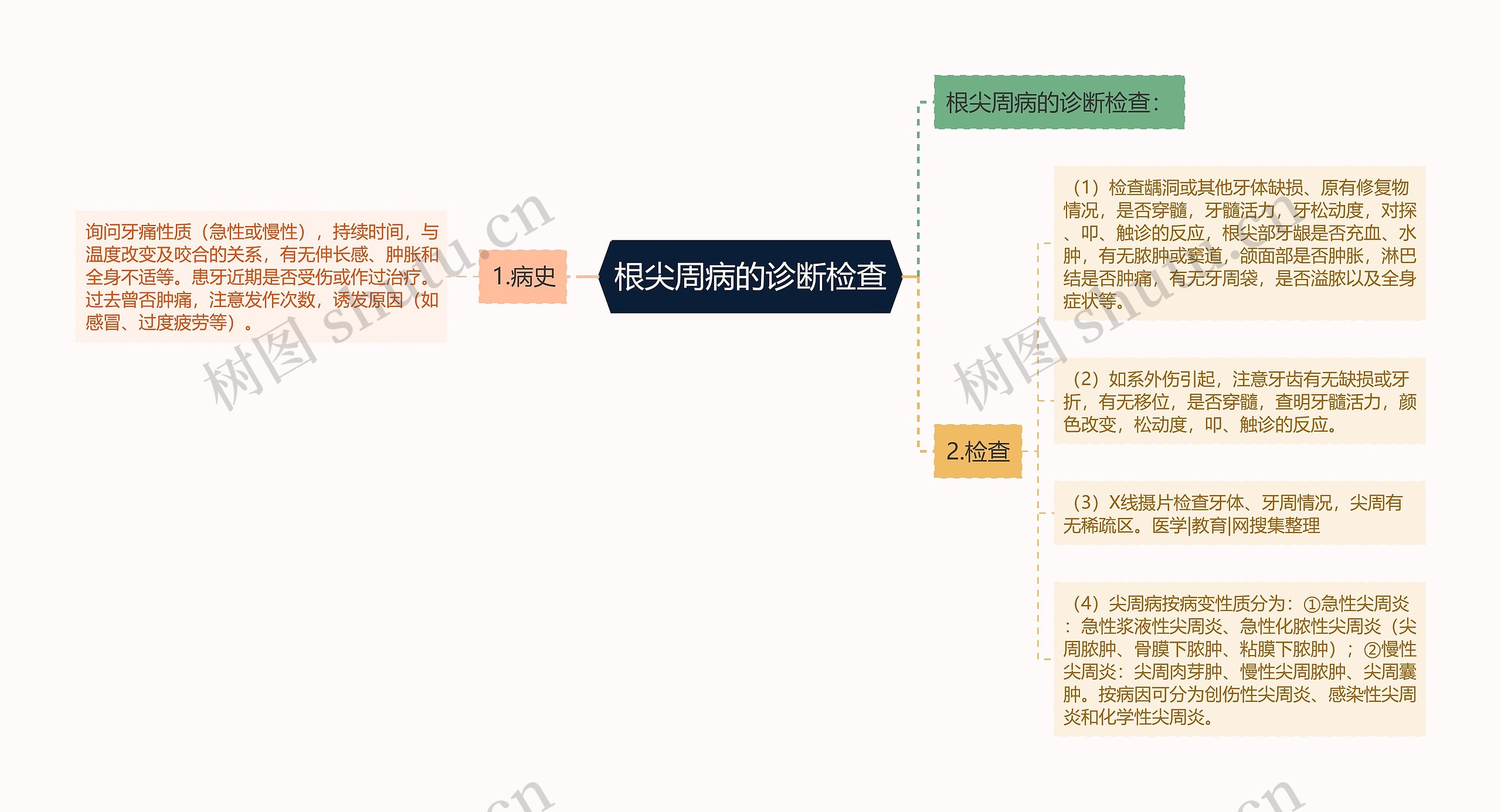 根尖周病的诊断检查